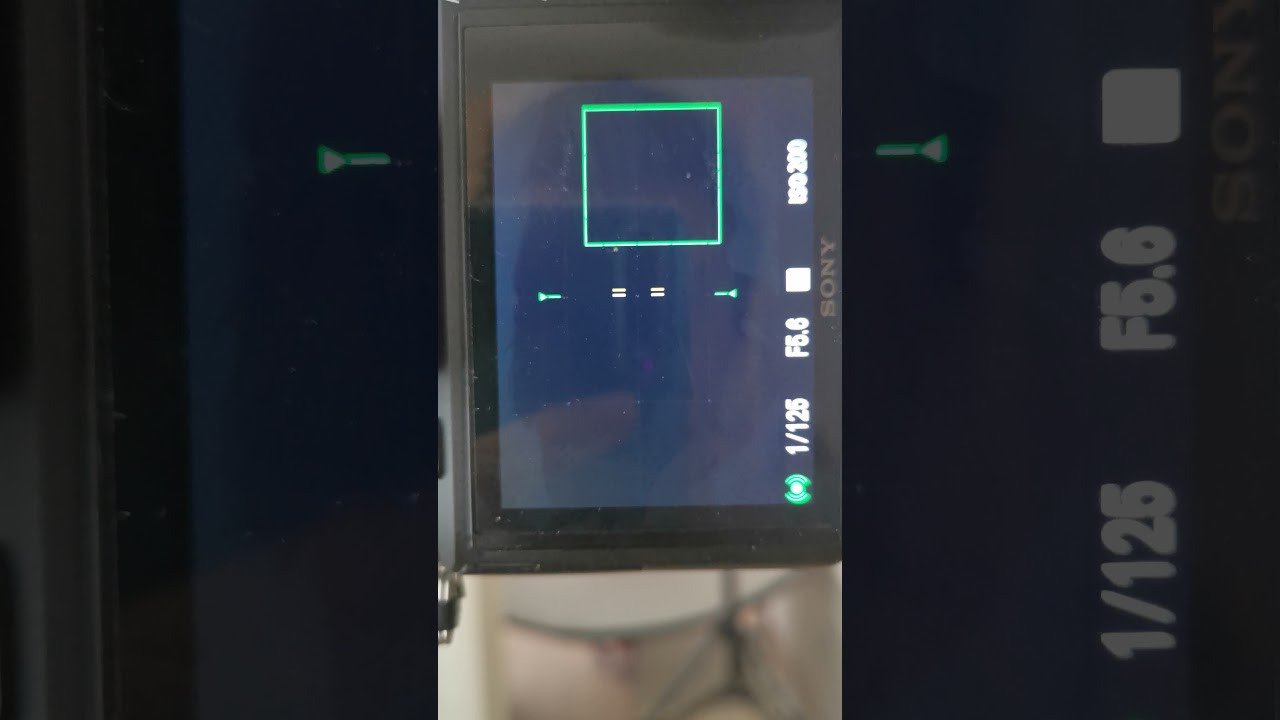 Обзор объектива Tamron 70-180 f2.8 Di III VXD. Фотограф Дмитрий Цветков | Санкт-Петербург