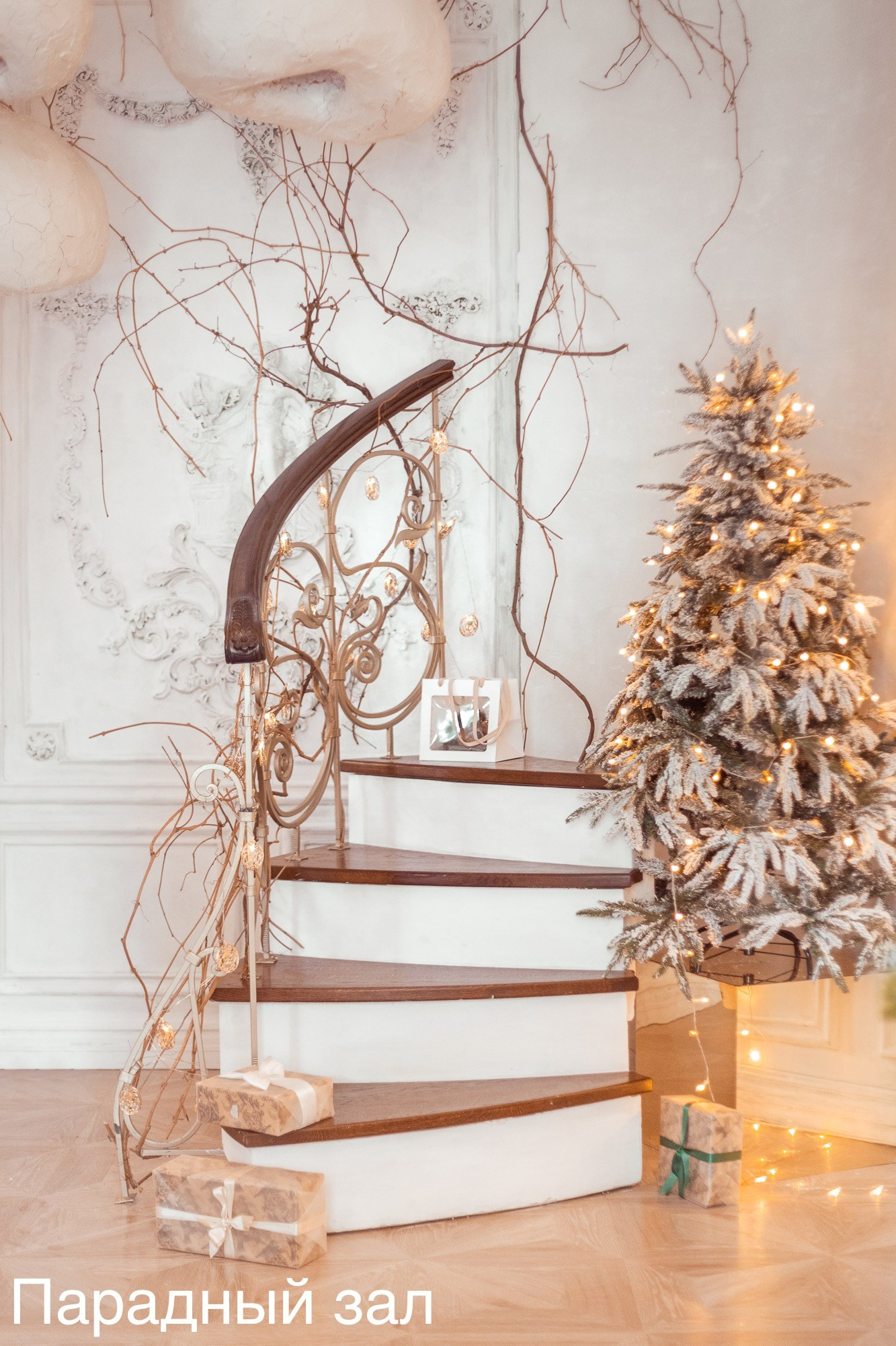 Фотостудии. Евгений Щетников Фотограф-Тюмень