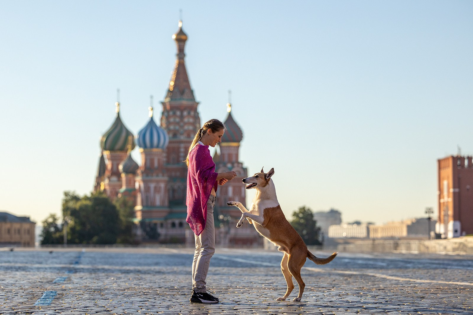 Винтик и Вита в городе. Фотограф-анималист Natalia Deingel | Фотосъемка собак в Москве