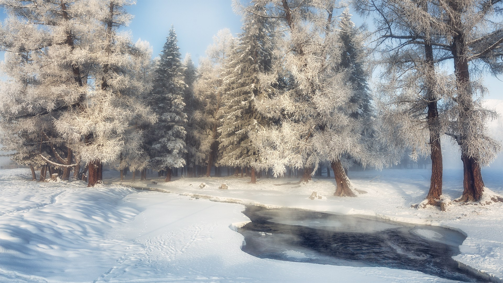 Пейзаж. Вадим Кононенко — outdoor creating