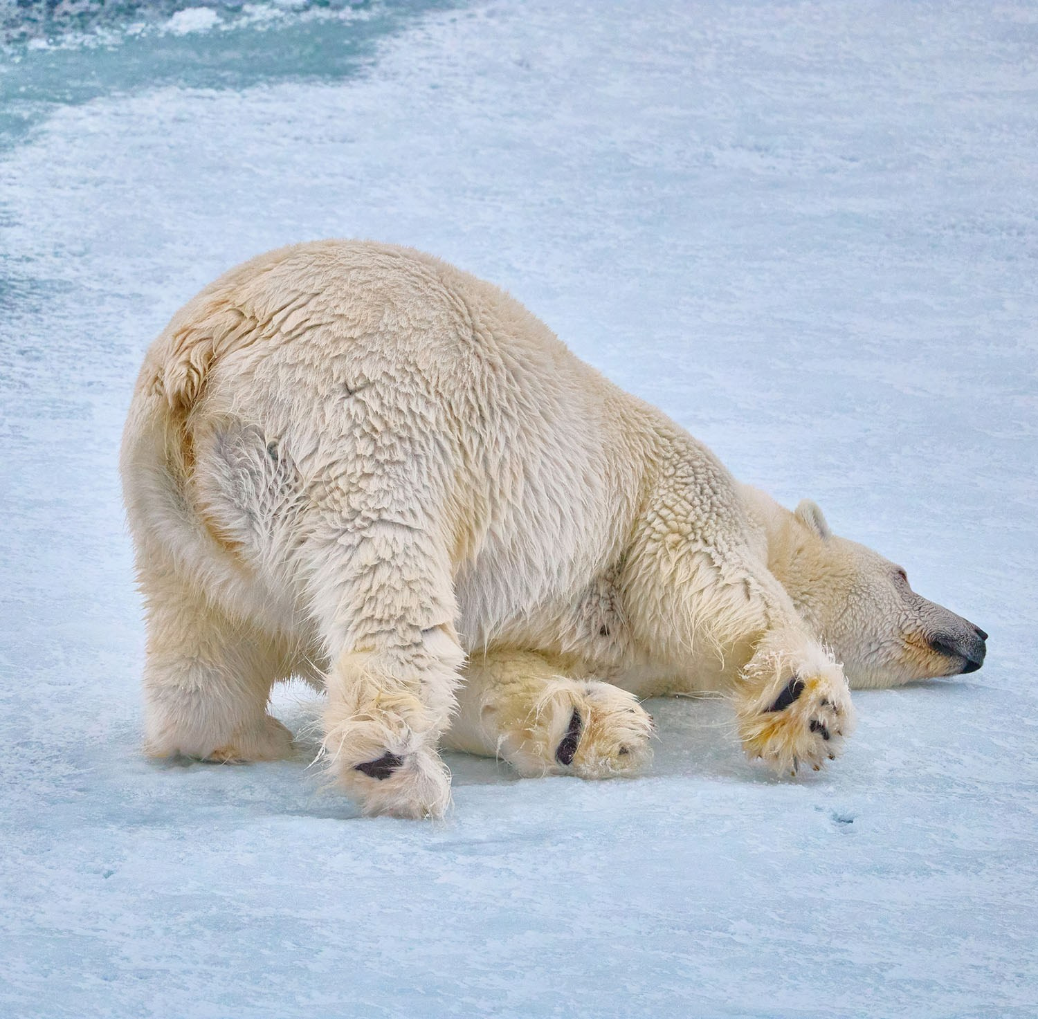 Уроки фотошколы. Международная онлайн-фотошкола Сергея Рожнова