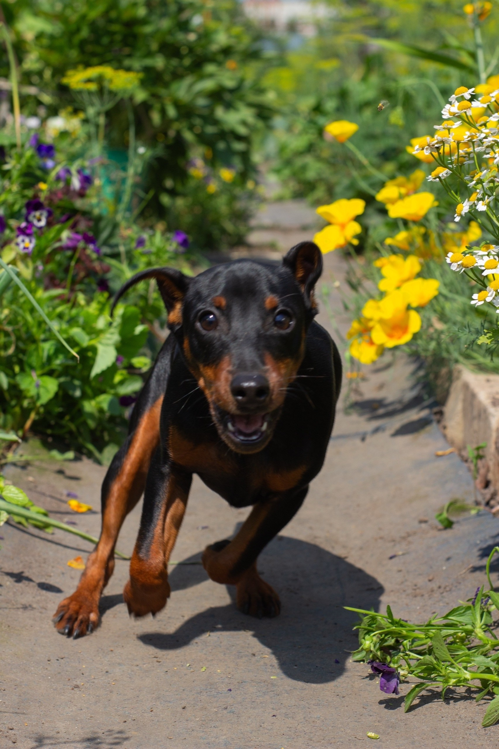 Фотография как разговор с миром. Портретный фотограф в Дзержинске и Нижнем Новгороде