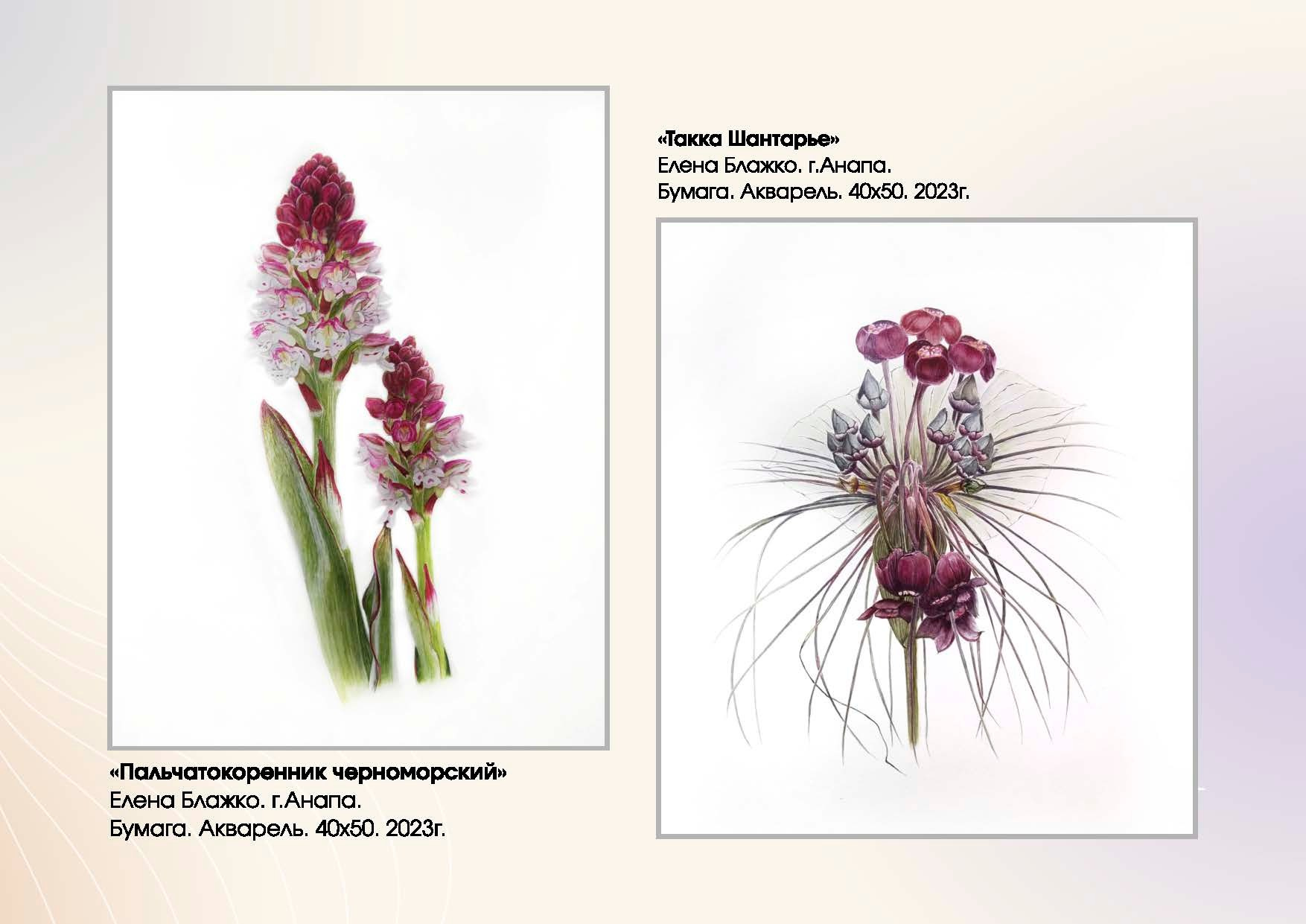 Блажко Елена Владленовна. Галерея участников Российской Премии Искусств