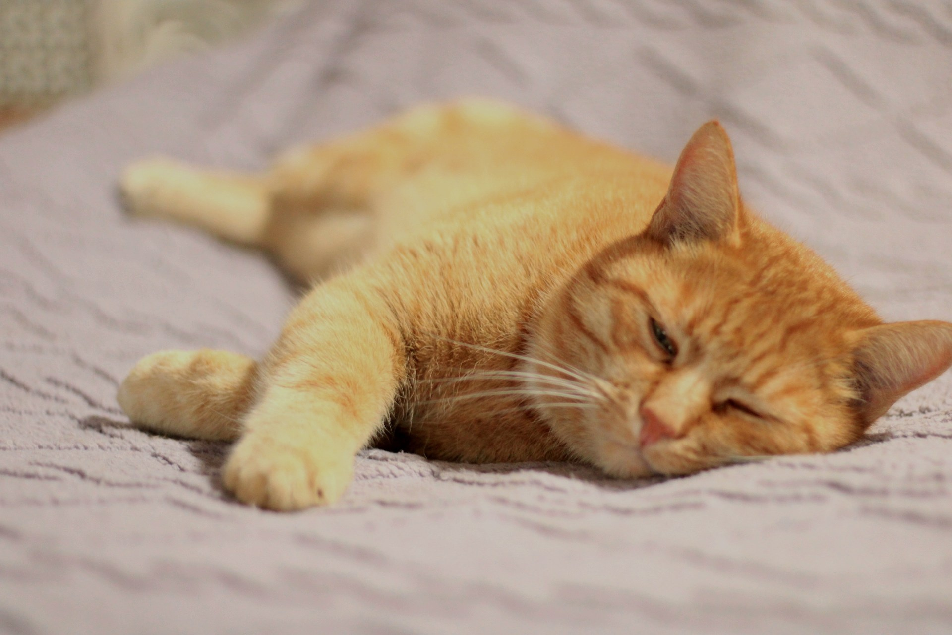 Катя Попова|ЛайфСтайл фотограф