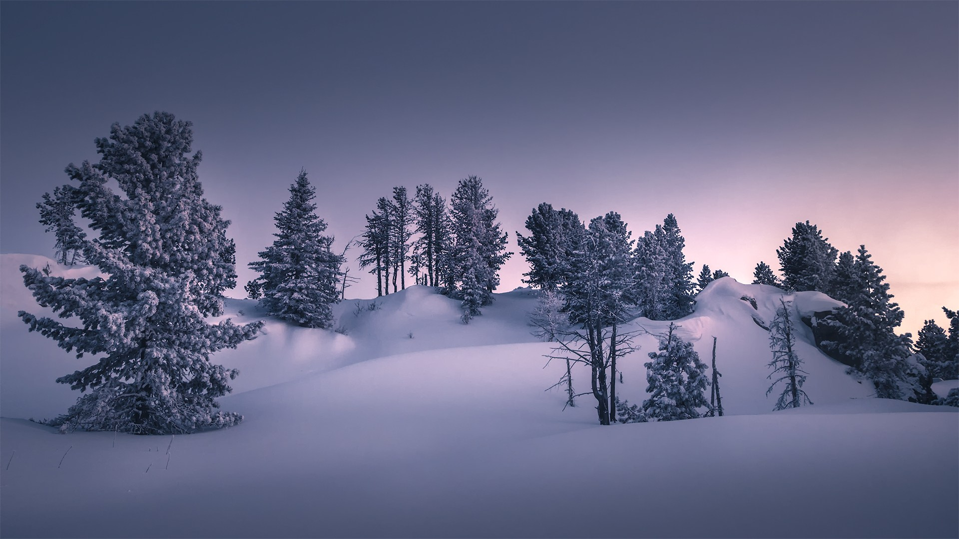 Пейзаж. Вадим Кононенко — outdoor creating