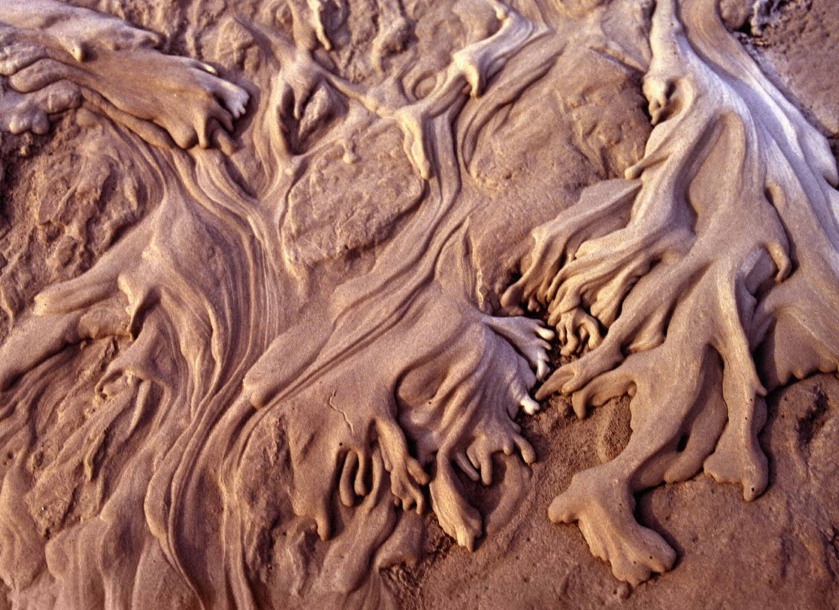 Коллекционные альбомы. ВАДИМ ГИППЕНРЕЙТЕР — ВЕЛИКИЙ ФОТОГРАФ ЗЕМЛИ РУССКОЙ