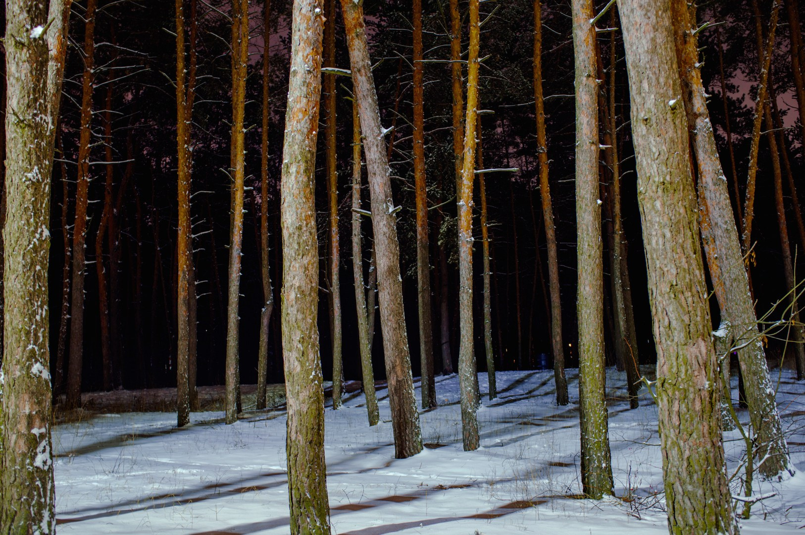 Руслан Шувалов (поэтограф)