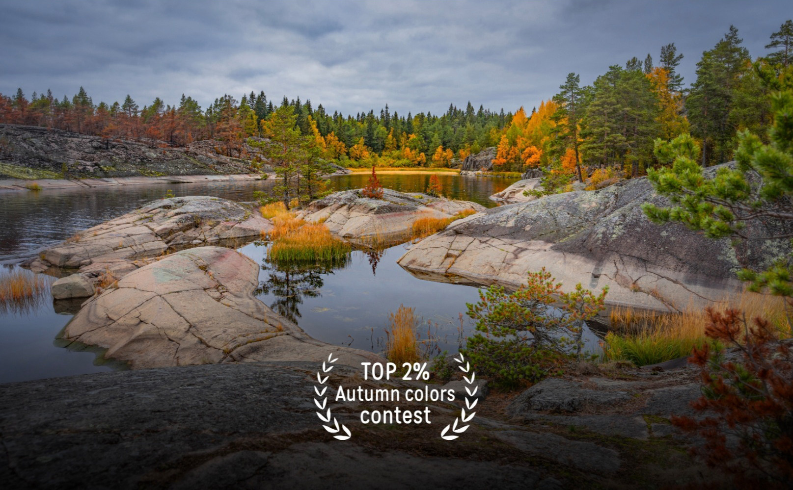 The participant of the thematic contest 35AWARDS: Autumn colors. According to the results of the main voting work "Osen na Ladozhskih shherah” entered the TOP 2% best photos of the contest. Also, the author entered the TOP 4% best photographers. A total of 8606 people from 130 countries and 2174 cities took part. In total, 25477 photographs were submitted for the competition.