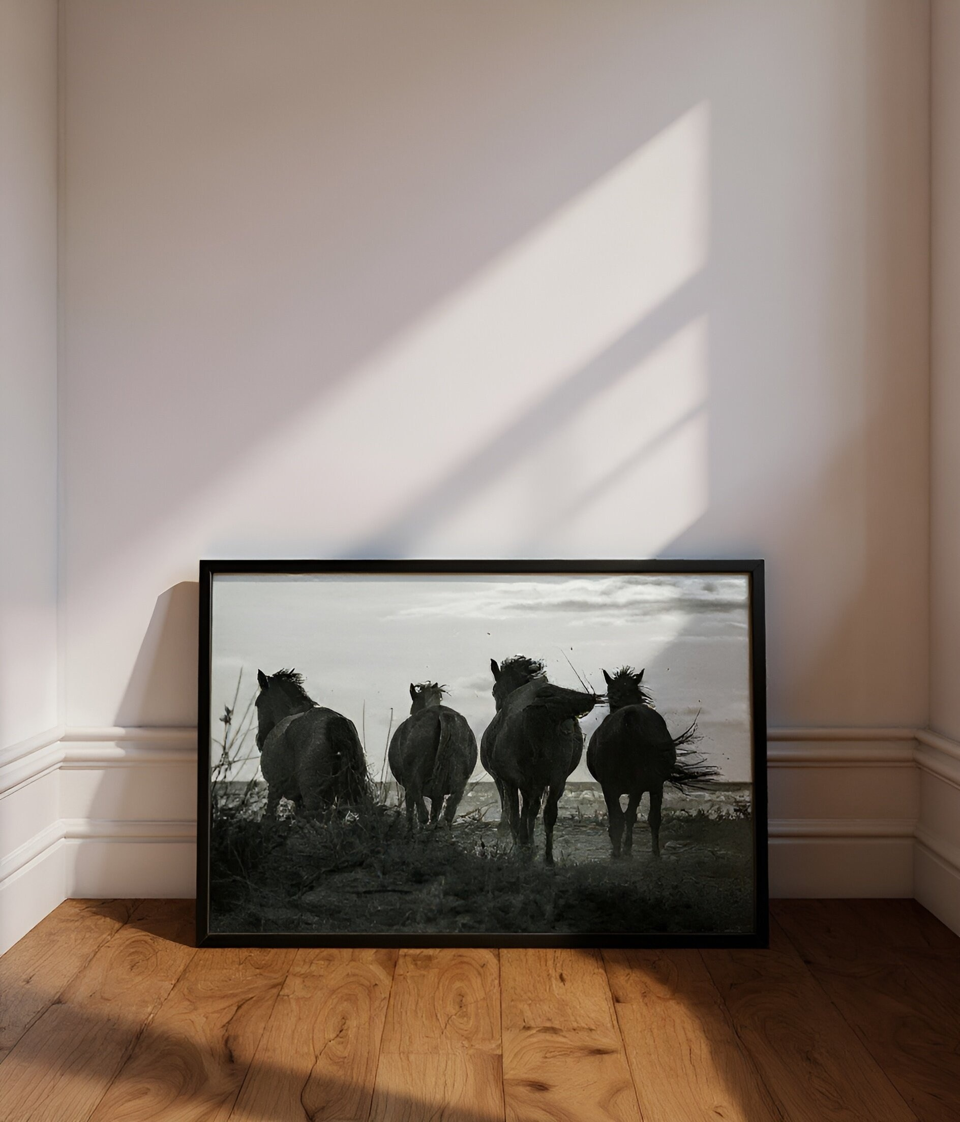 Order. Dimitri Bakhtadze photographer