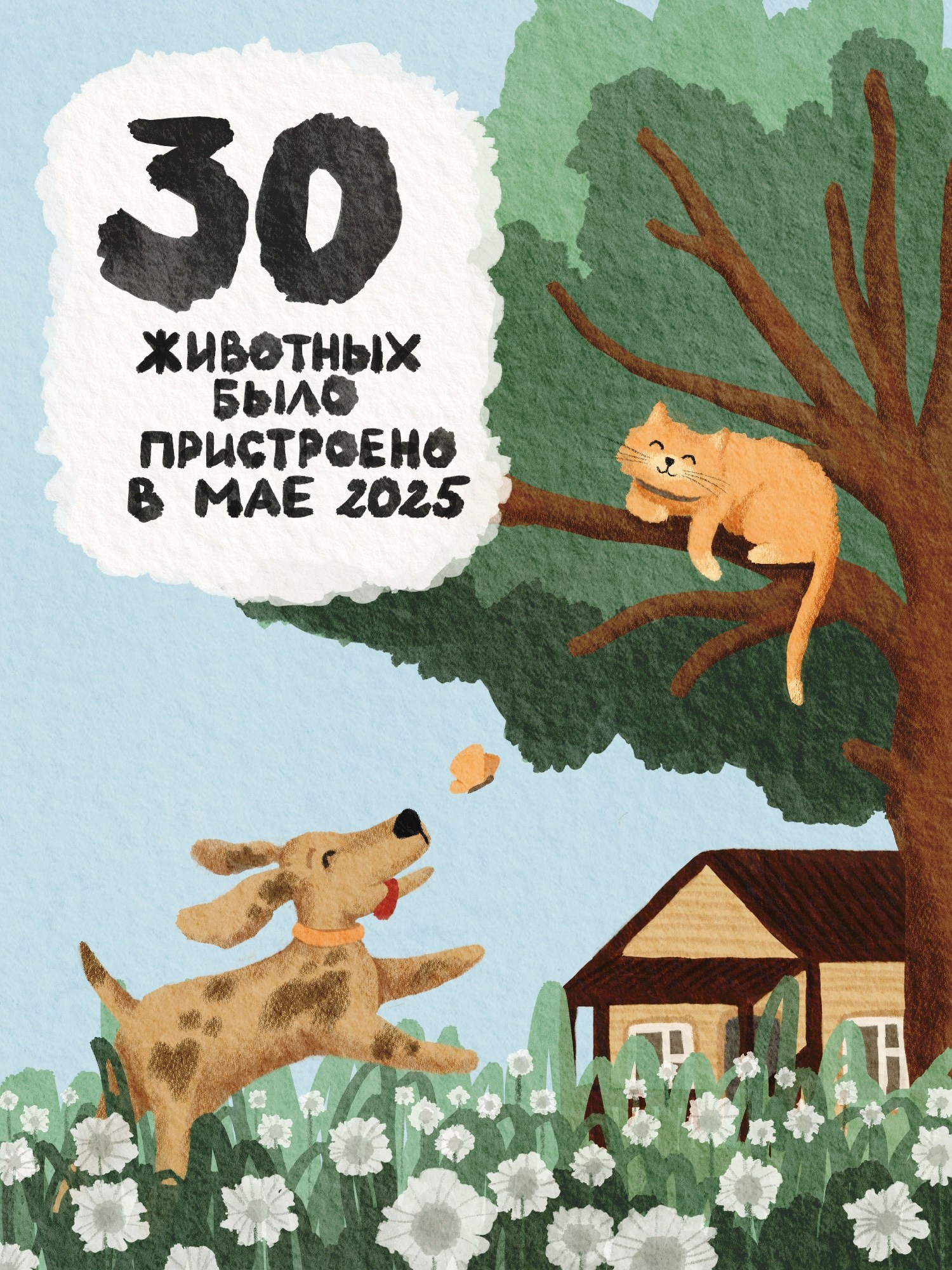 Иллюстратор | Аня Лёзина. Фотограф Нижний Новгород Аня Лёзина