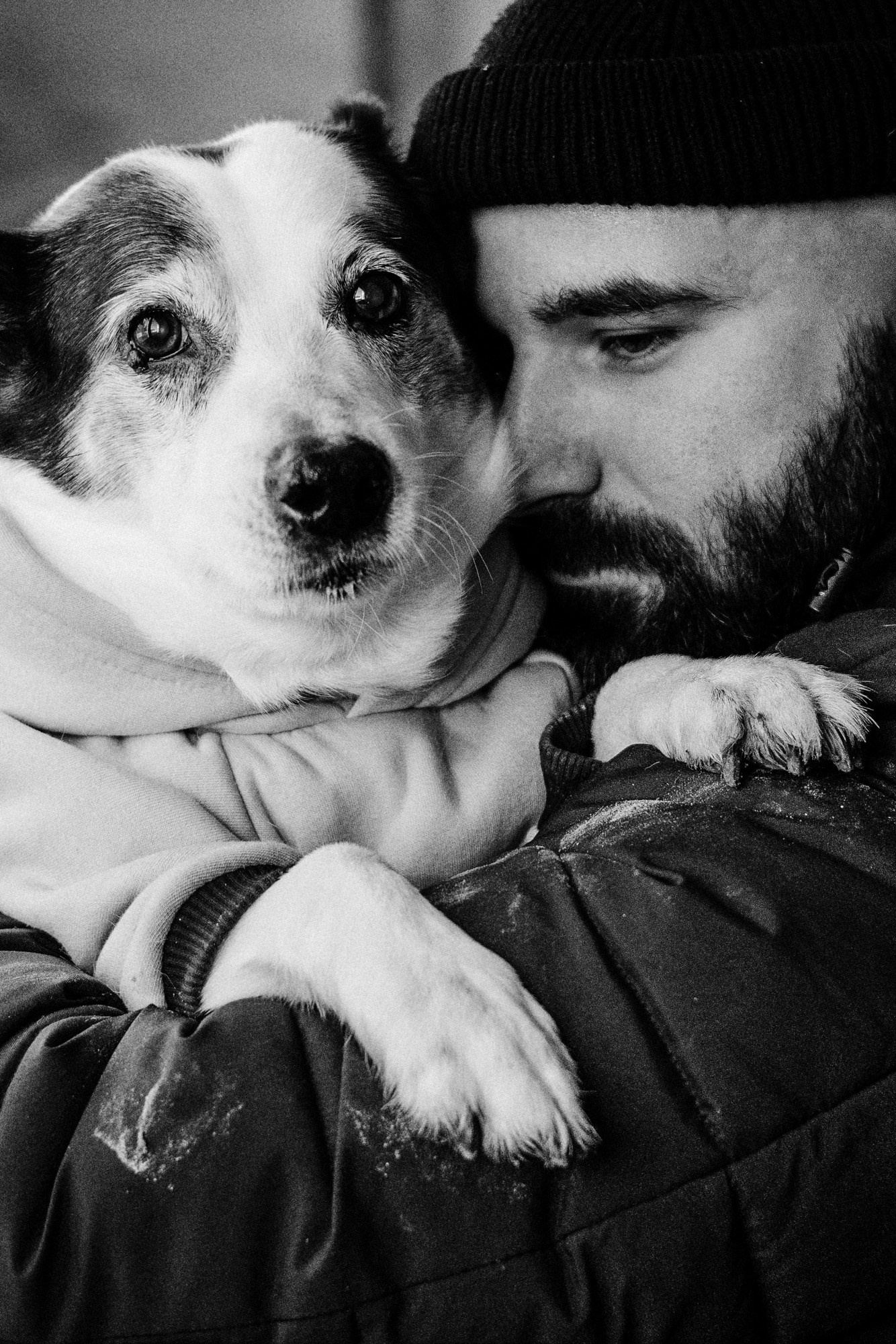 Фотосессия с собакой в Тюмени. Эмоциональные кадры с домашним питомцем.