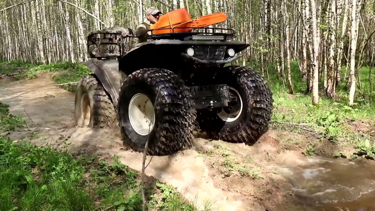 Фототур на глухарей — съемка весеннего тока в дикой природе. Wildlife Ride — организация фототуров и экспедиций