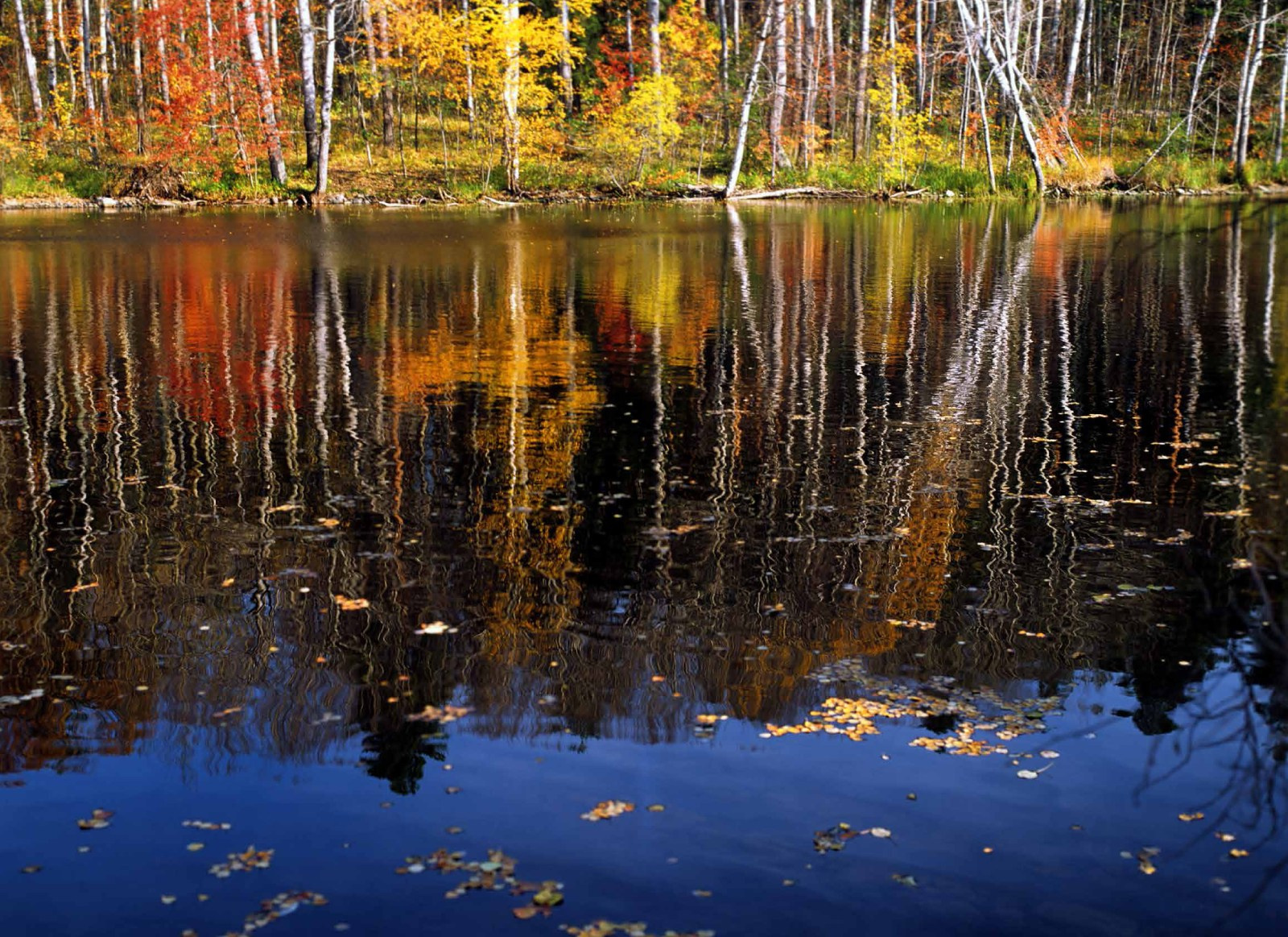 Коллекционные альбомы. ВАДИМ ГИППЕНРЕЙТЕР — ВЕЛИКИЙ ФОТОГРАФ ЗЕМЛИ РУССКОЙ
