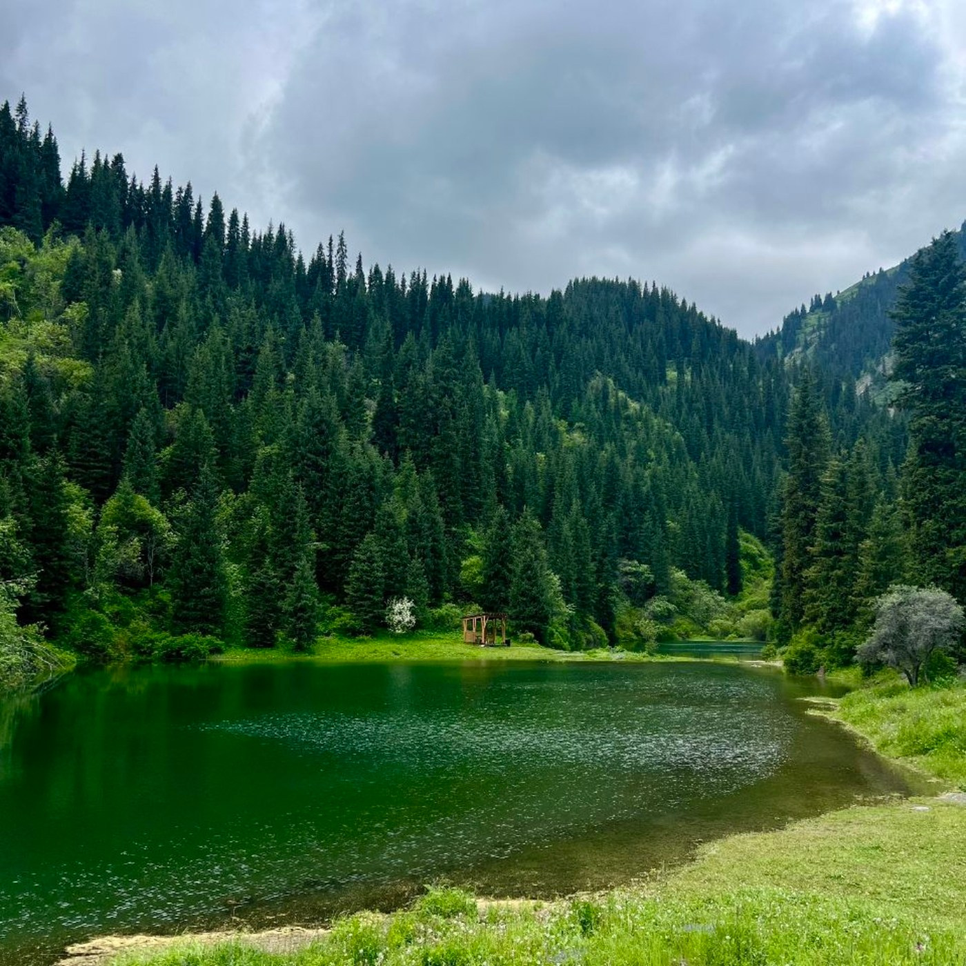 Melon Travel в Алматы: экскурсии и джип туры в Чарынский каньон, озера Каинды, Кольсай, Иссык, национальный парк Алтын Эмель