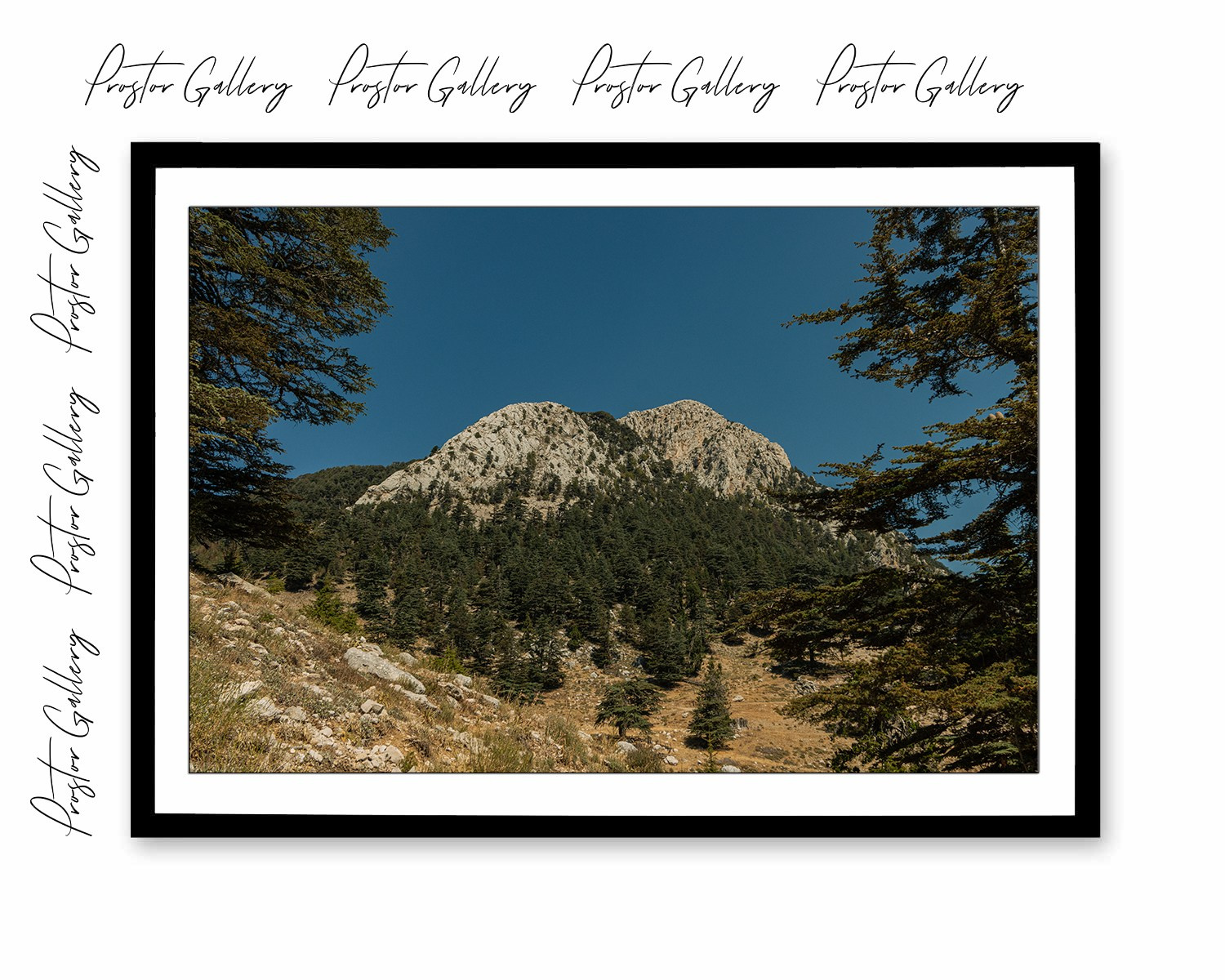 «Простор» | Онлайн-галерея. Danny Morgunovsky