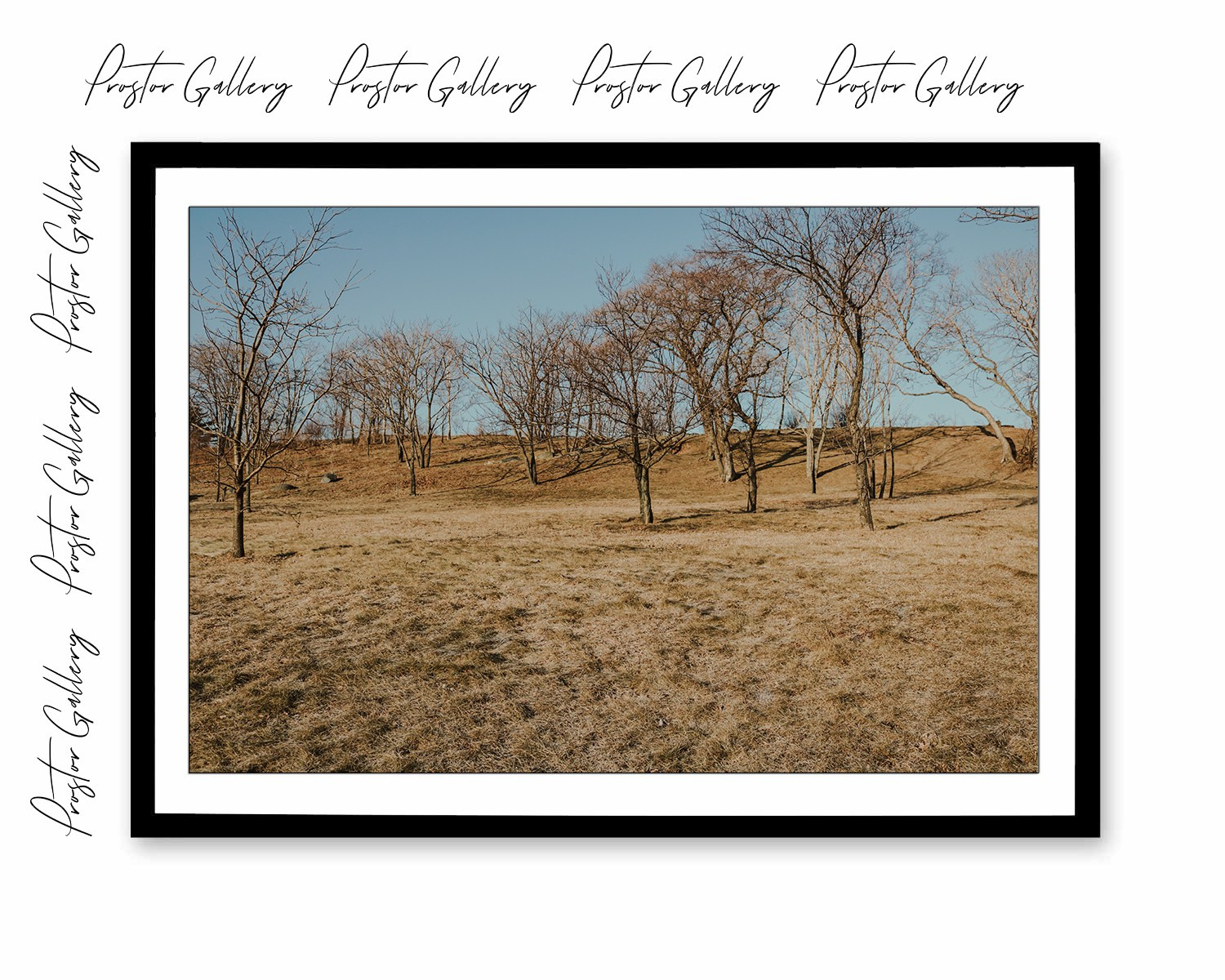 «Простор» | Онлайн-галерея. Danny Morgunovsky