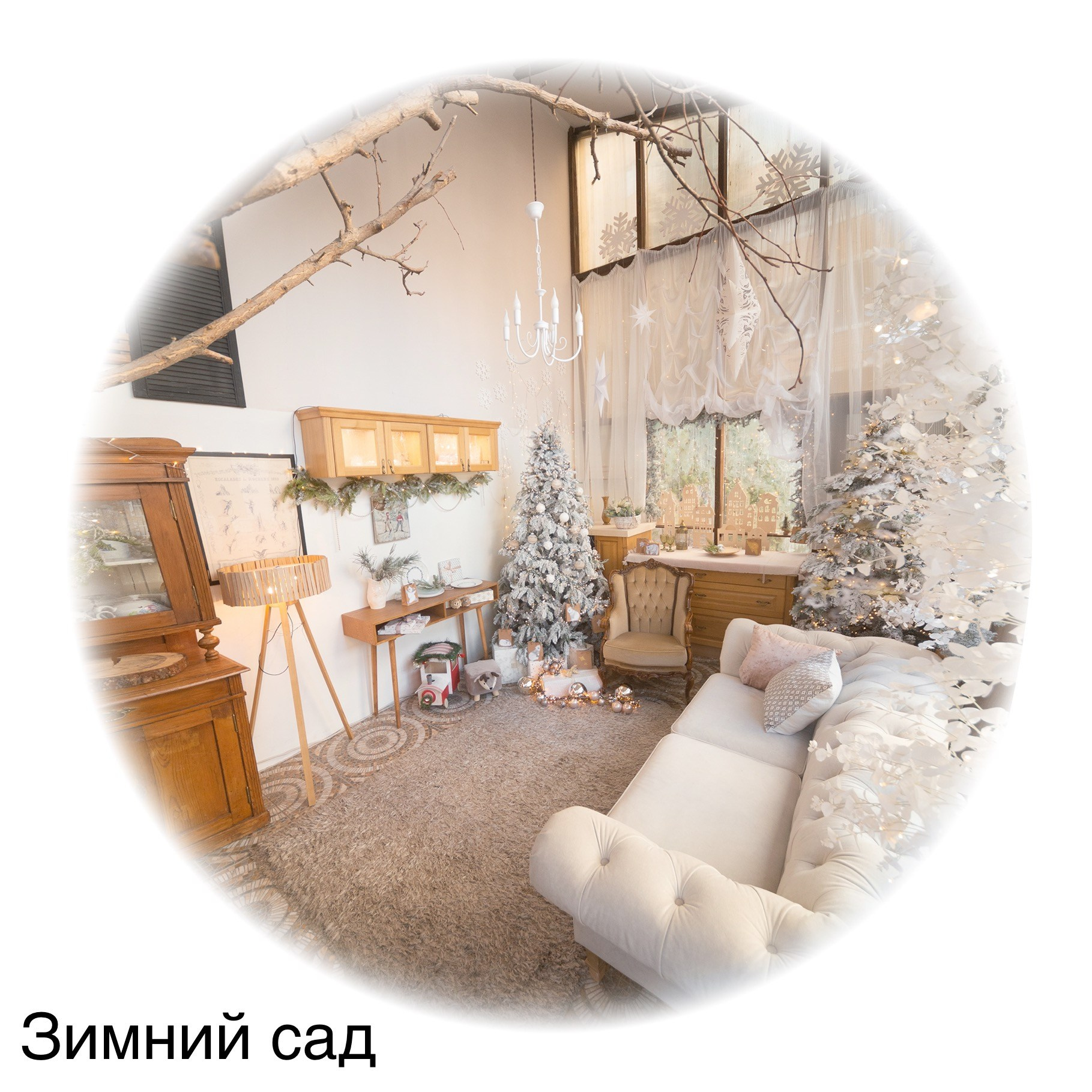 Фотостудии. Евгений Щетников Фотограф-Тюмень