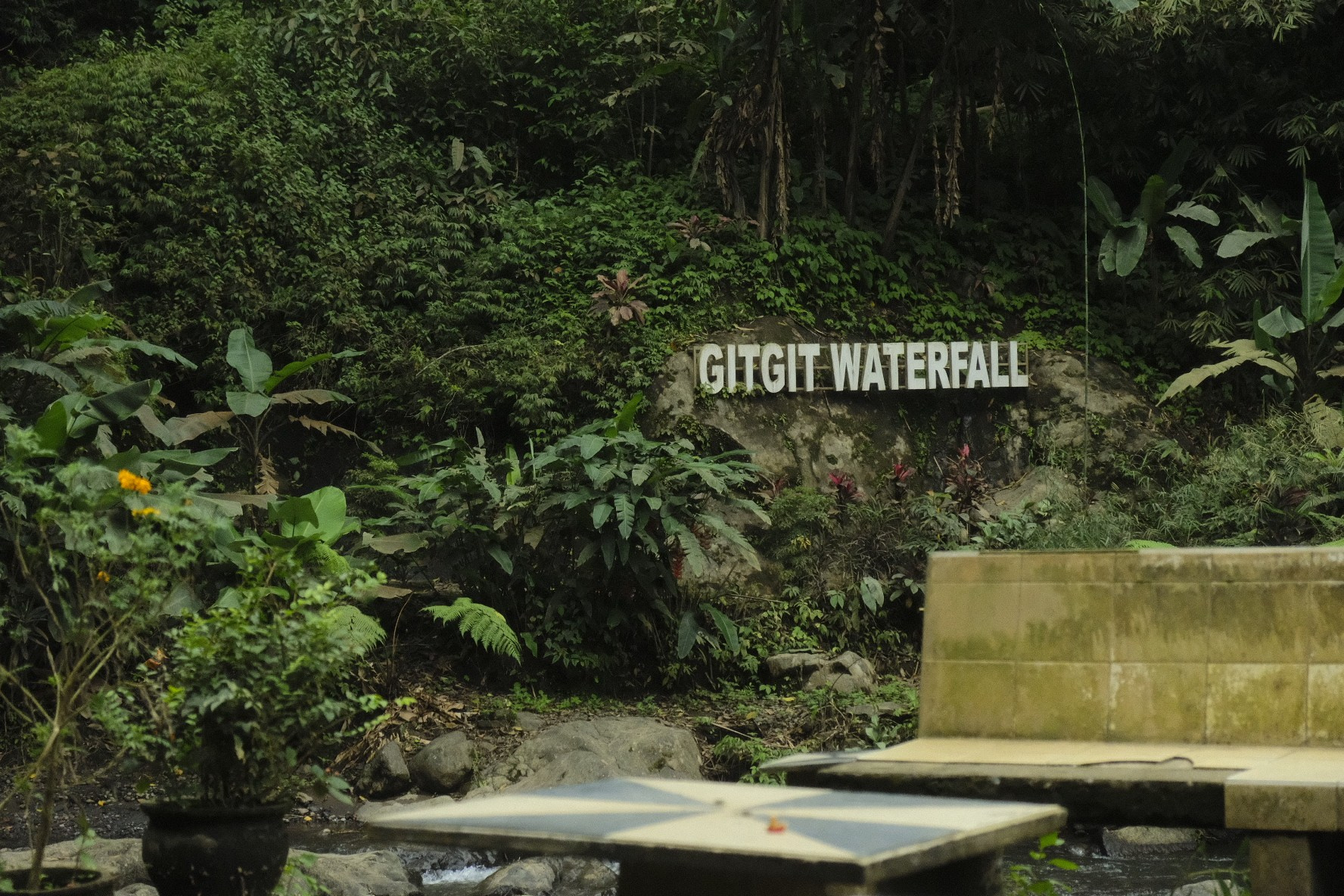 Catch photos and make them magical — Krisitna Popova