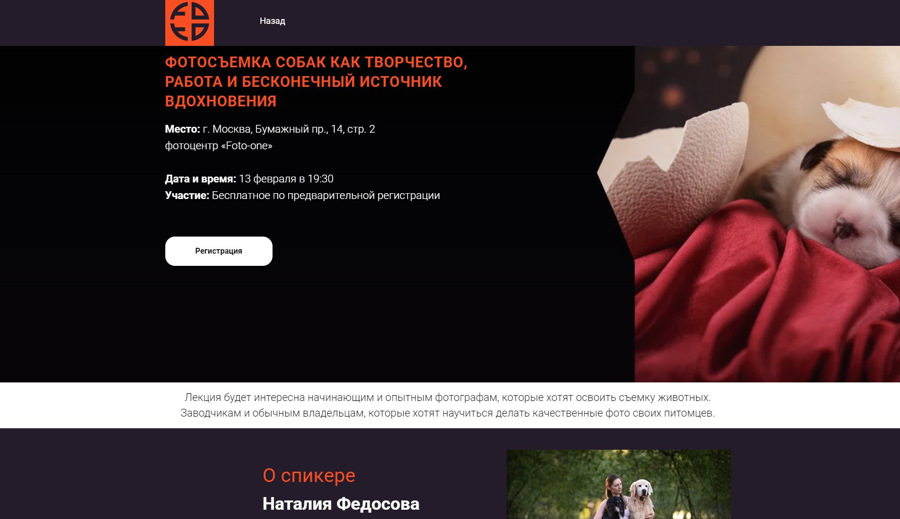 Лекция о фотосъемке собак. Фотограф-анималист Natalia Deingel | Фотосъемка собак в Москве