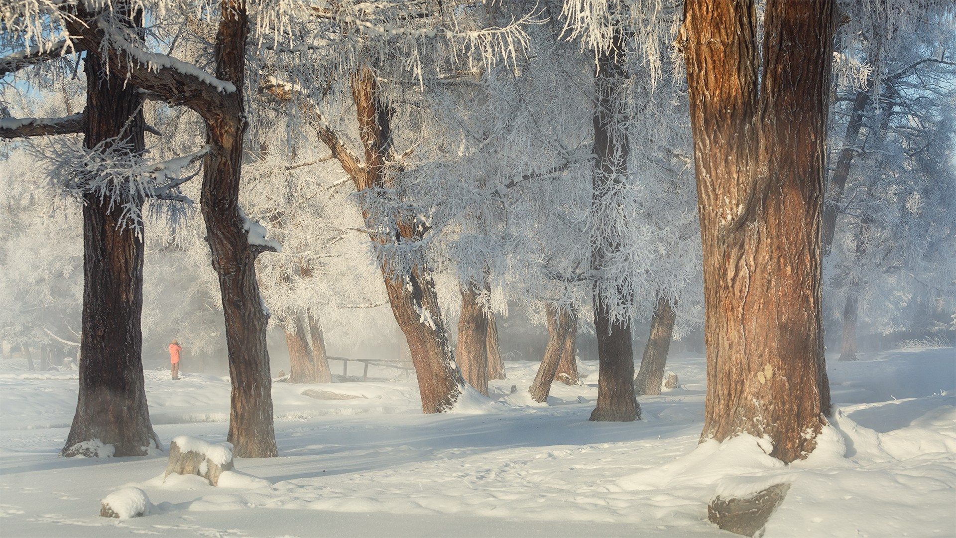Пейзаж. Вадим Кононенко — outdoor creating
