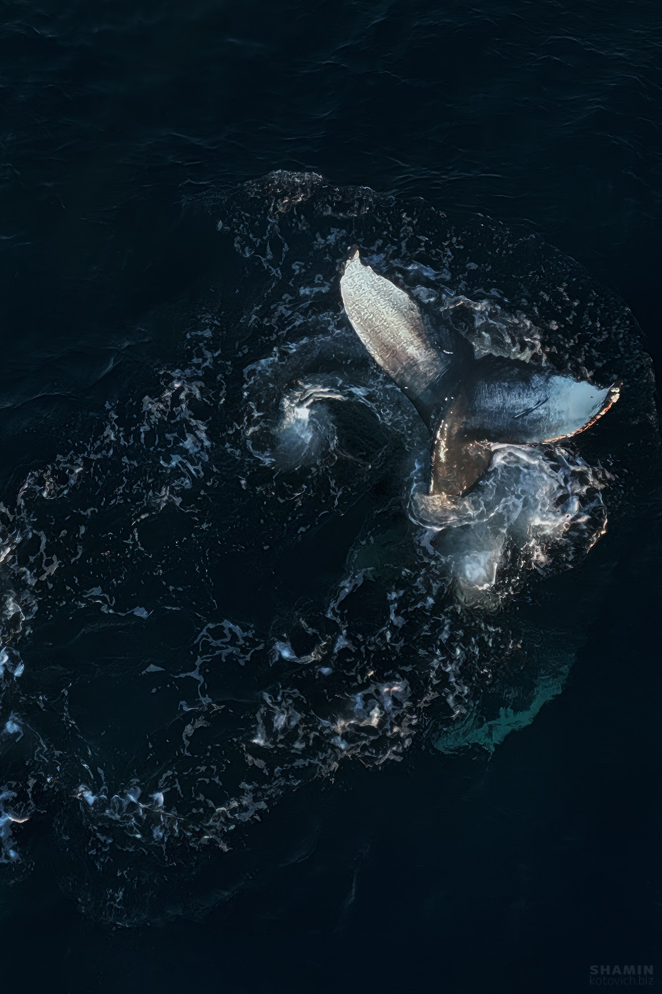 Пейзажи Кольского полуострова — северное сияние, тундра, Баренцево море и горы Хибины. Фотографии дикой природы и северного света на Кольском полуострове. Фотограф Константин Шамин