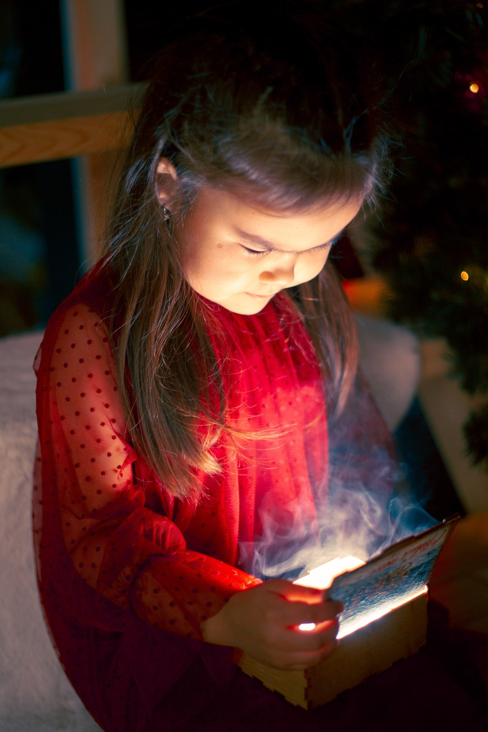 Новогодние. Арт-фотограф Крис Л. в Тобольске: портрет, семейные, свадьбы