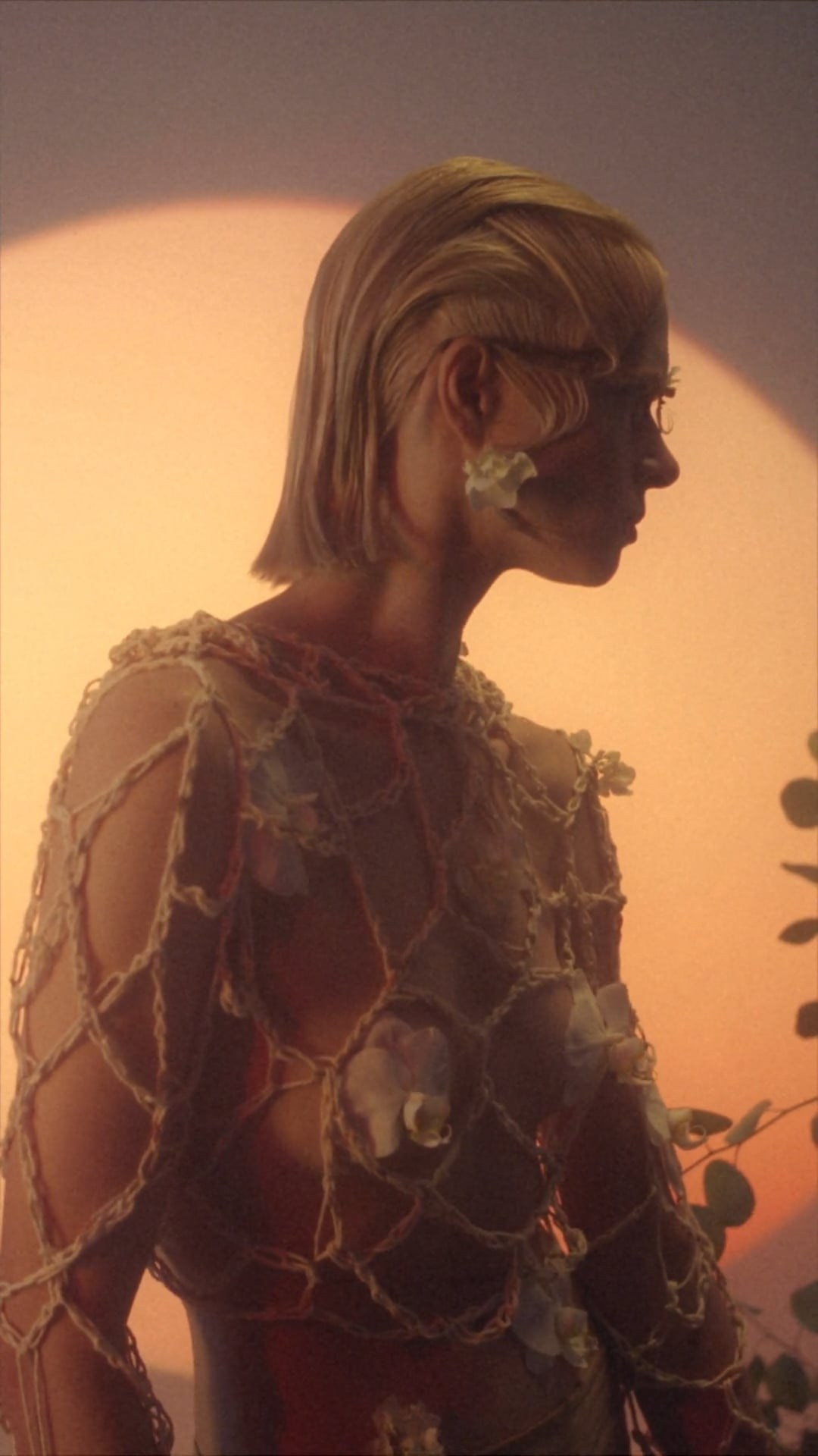 Food & Lifestyle. Sura Group | Social media content and video production for businesses and brands in Los Angeles | Sura Content & SurkovFilm