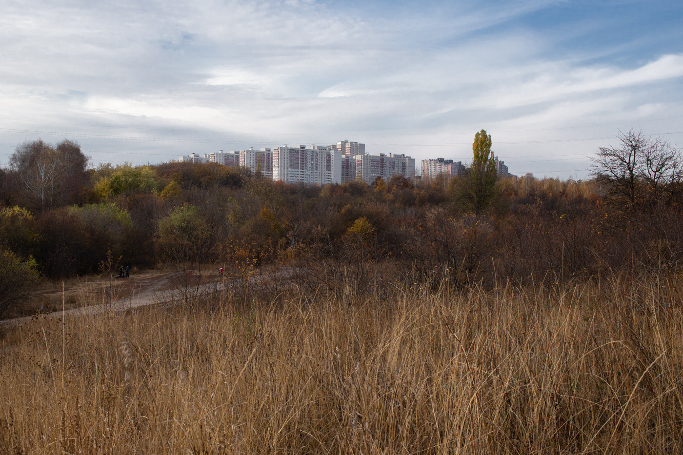 Стандарт. Фотограф Ольга Кардашова