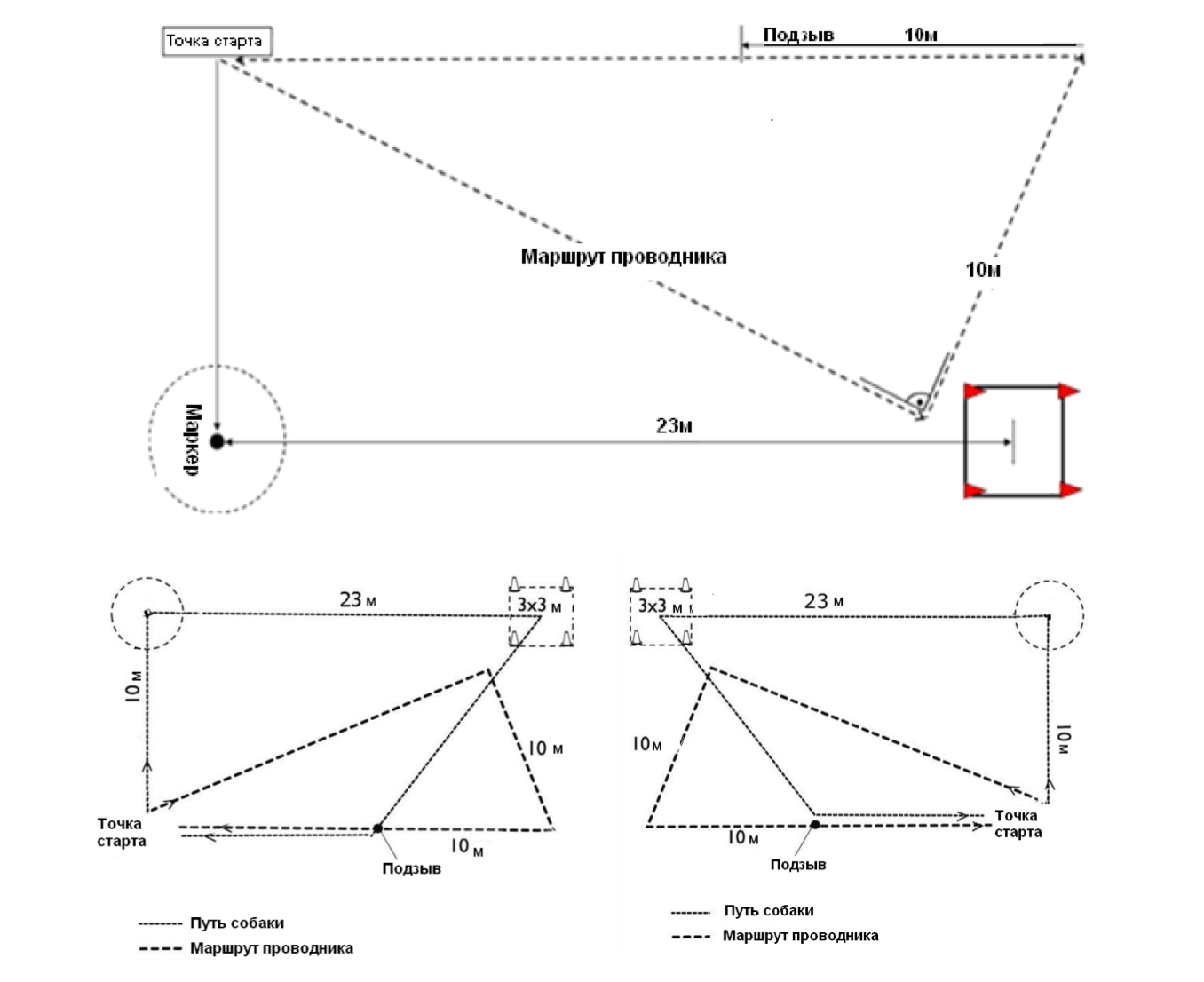 Стандарт. Фотограф Ольга Кардашова
