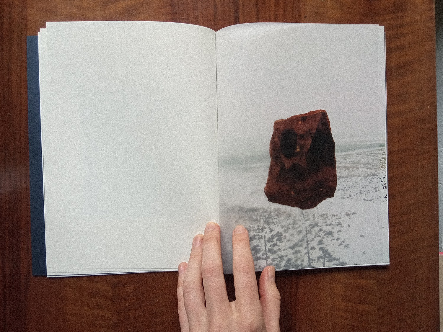 Книга «Dame Gulizar and Other Love Stories» Ребекки Топакян. Private image