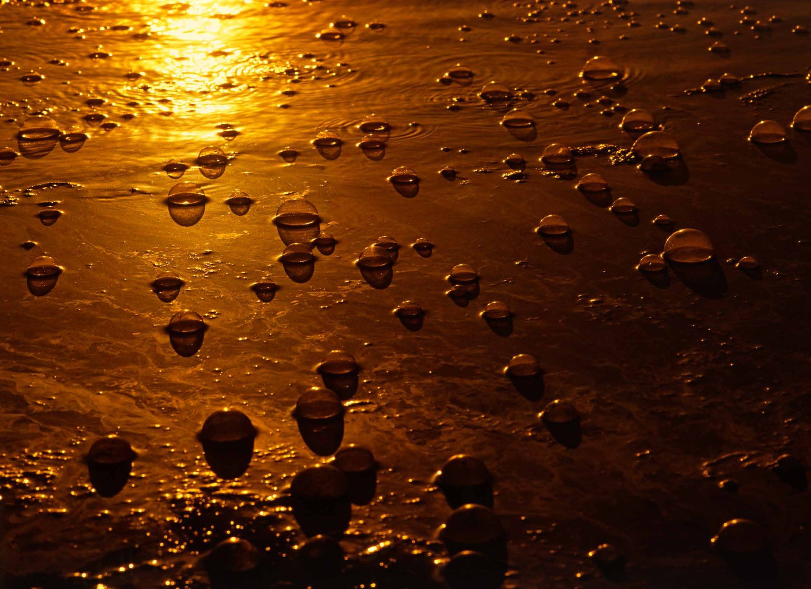 Коллекционные альбомы. ВАДИМ ГИППЕНРЕЙТЕР — ВЕЛИКИЙ ФОТОГРАФ ЗЕМЛИ РУССКОЙ