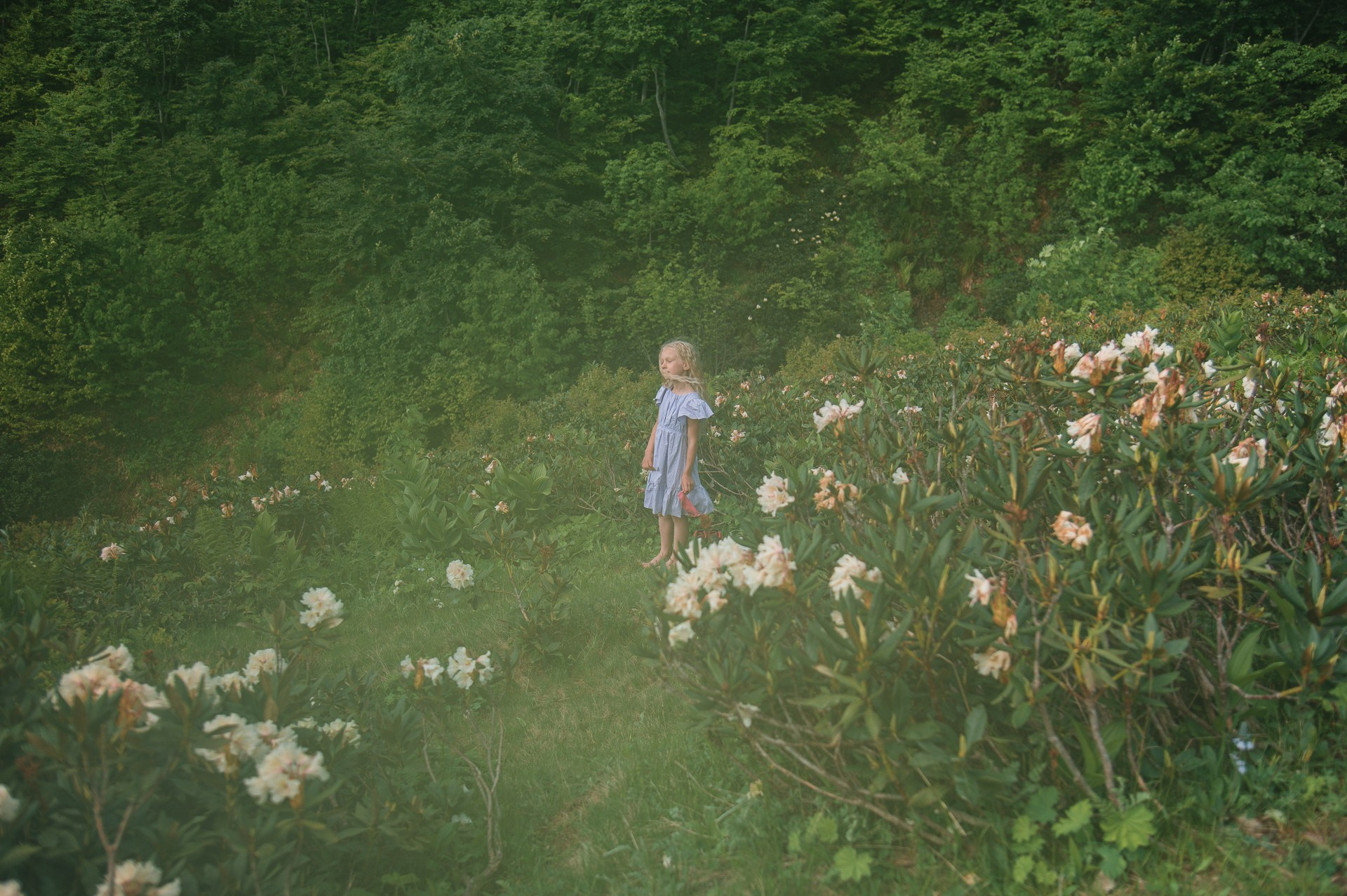 Фотопоход в Адыгее