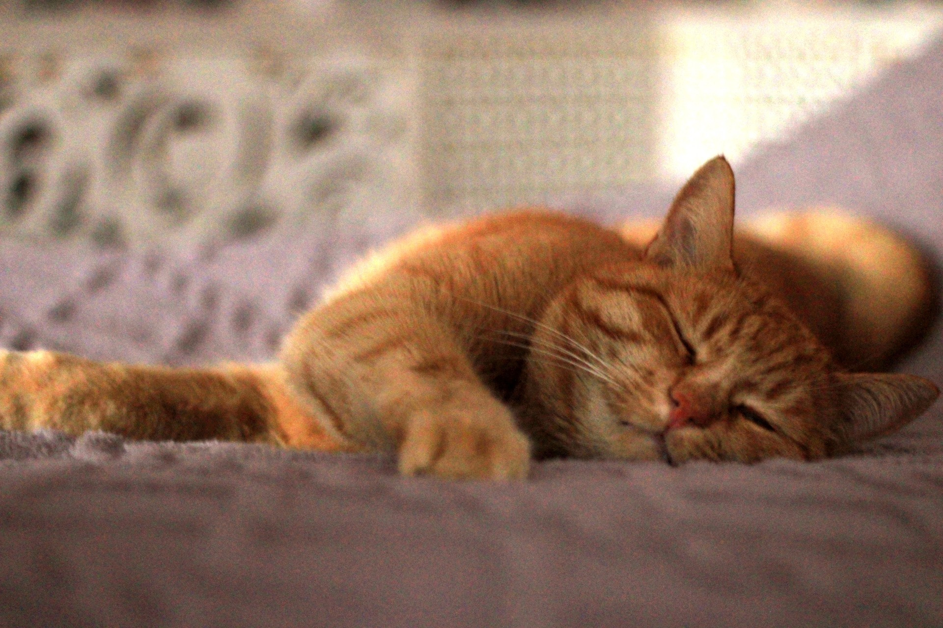 Катя Попова|ЛайфСтайл фотограф