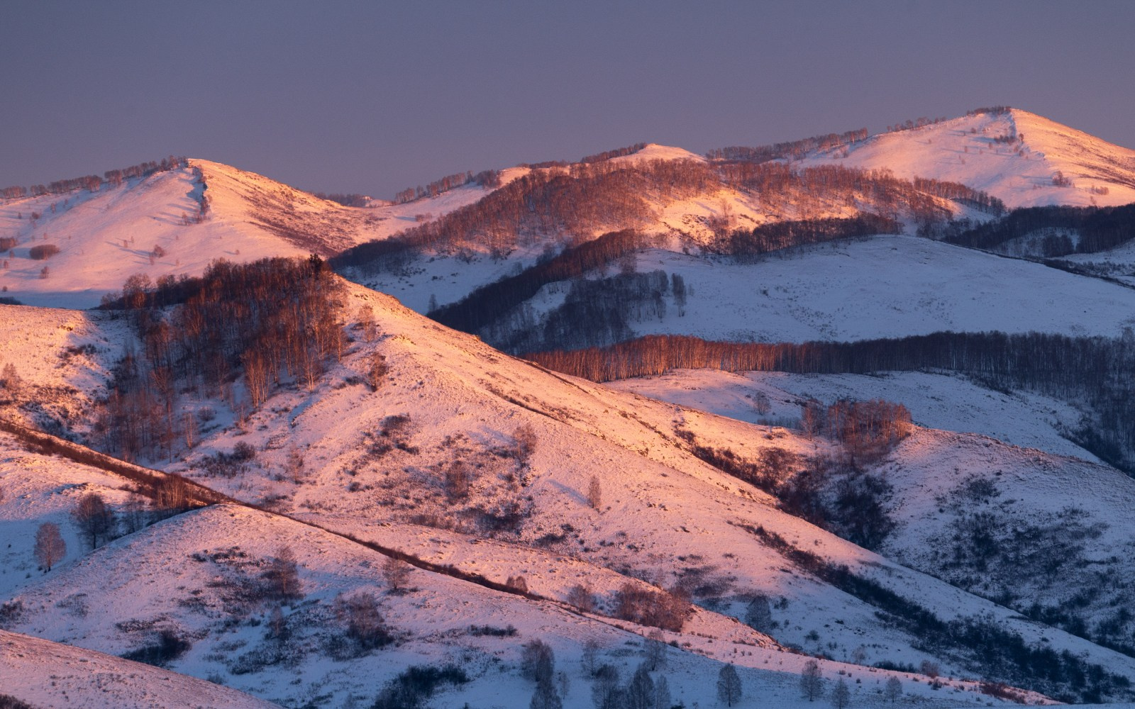 Пейзажи Алтайского края. Профессиональный пейзажный фотограф Алёна Рубан