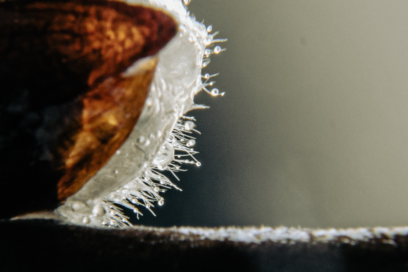 Подберу кадр под ваш интерьер и настроение. Фотограф Кирилл Мешков Кемерово