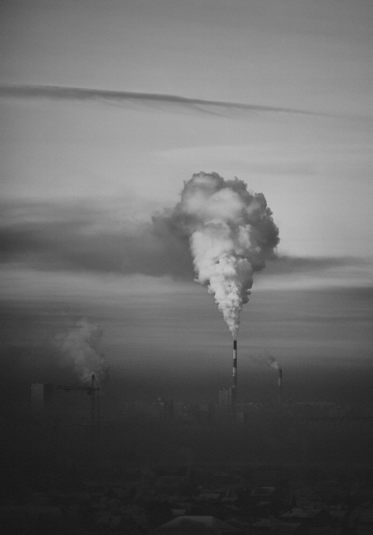 Ледокол знаний. Международная онлайн-фотошкола Сергея Рожнова