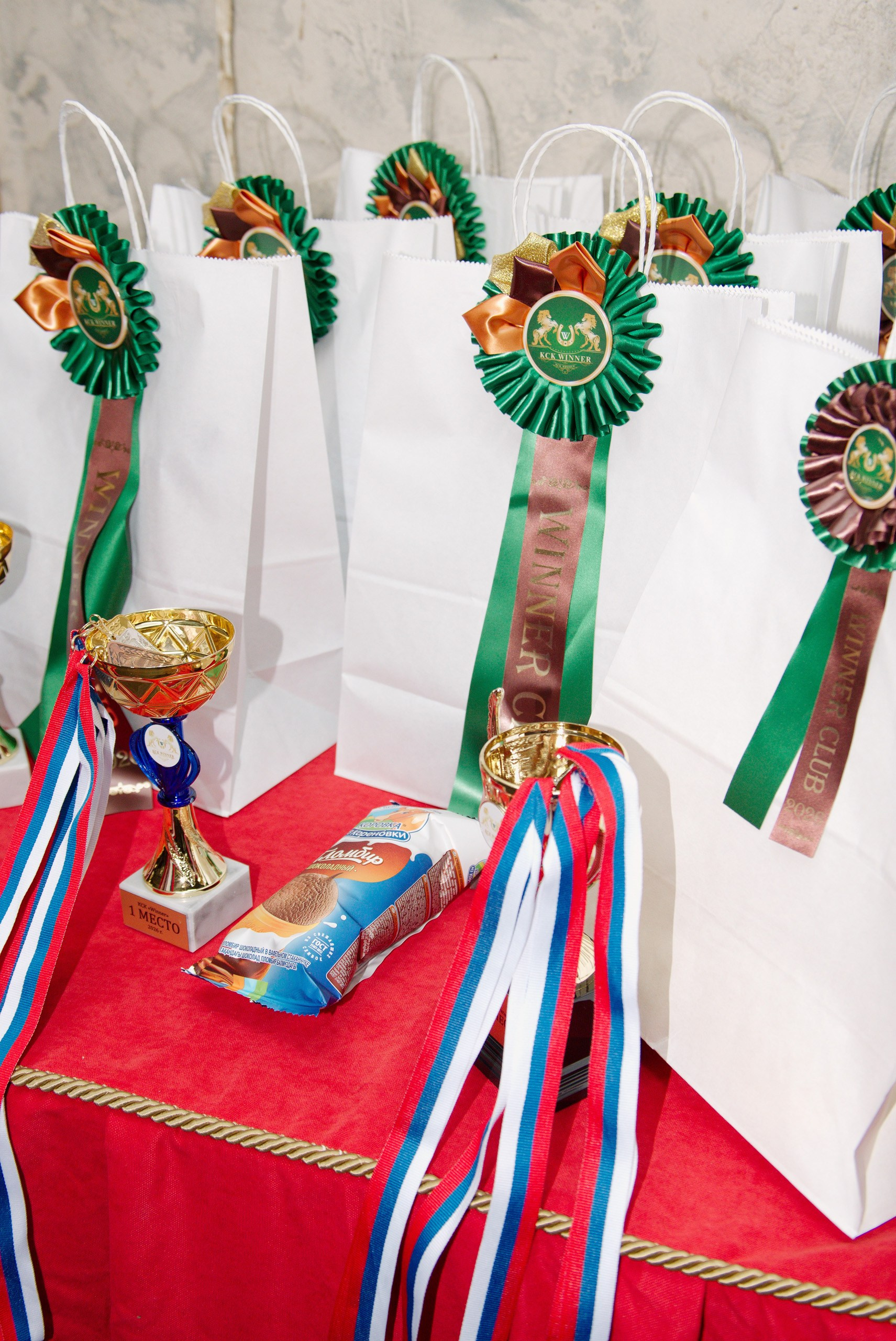 Winner — 23.05.2026. Портретный и конный фотограф в Санкт-Петербурге — Сергей Крылов
