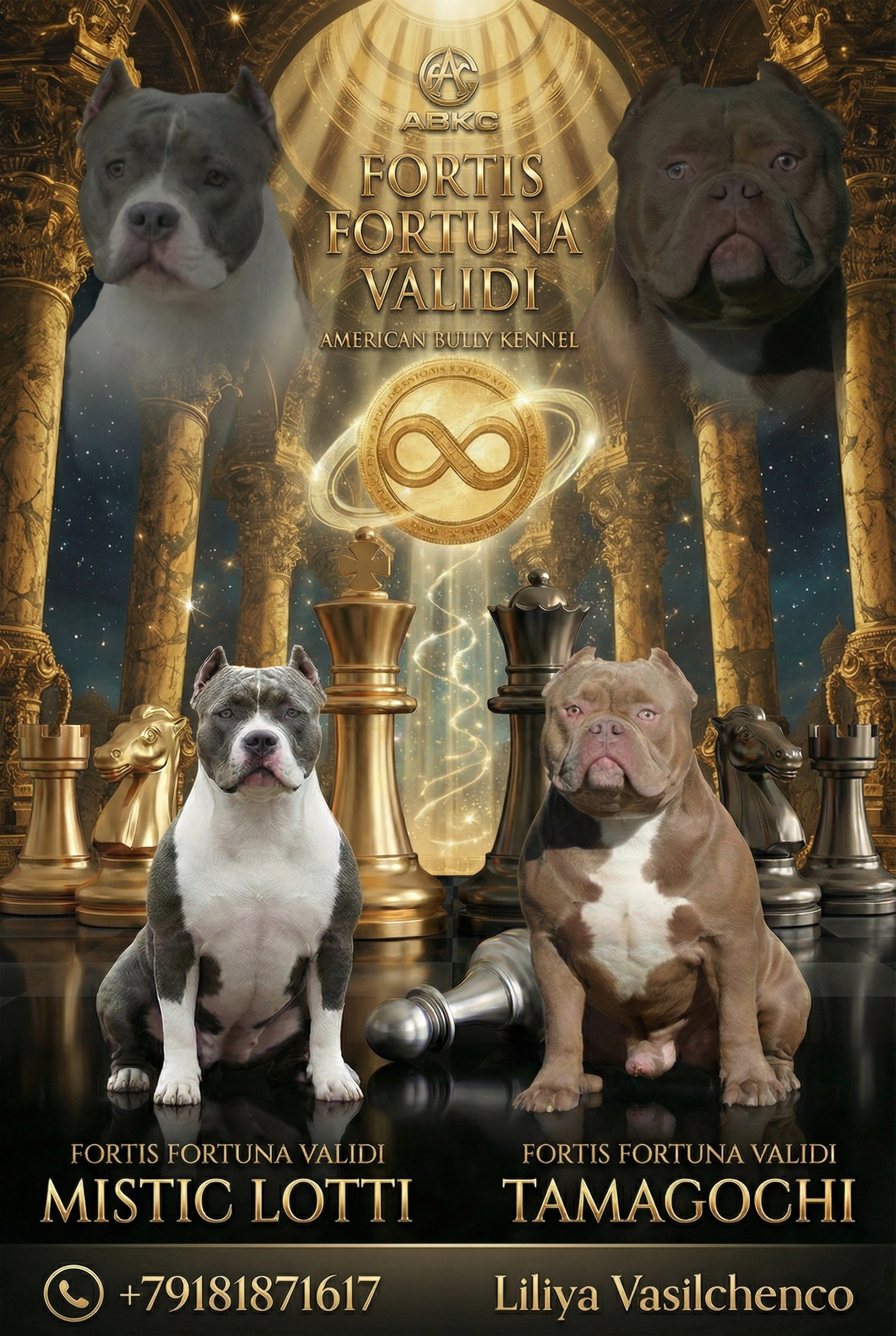 ПИТОМНИК СОБАК ПОРОДЫ АМЕРИКАНСКИЙ БУЛЛИ