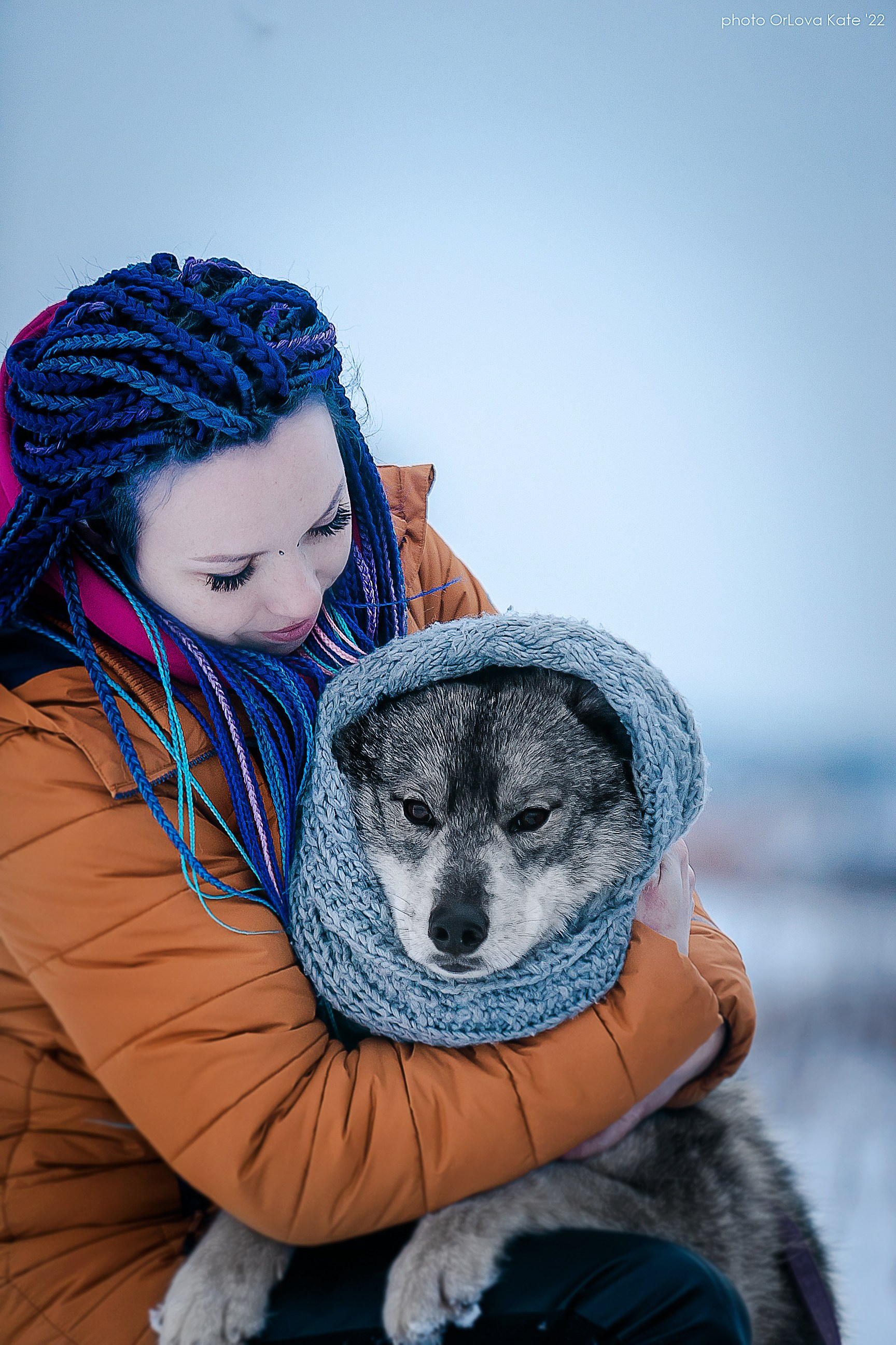 Собаки питомника Bueno Pardo. Питомник собак Акита, Хаски, Корги