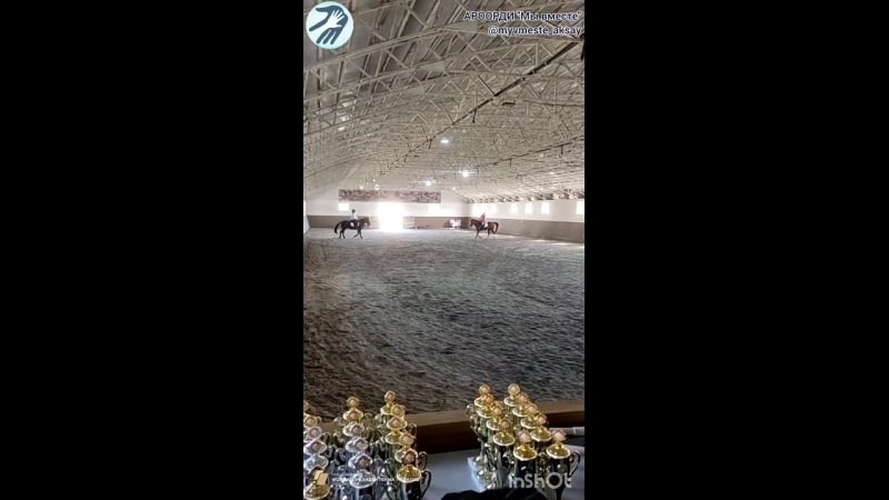 Фестиваль «Иппопогружение», в рамках которого прошел Кубок С. В. Рожкова