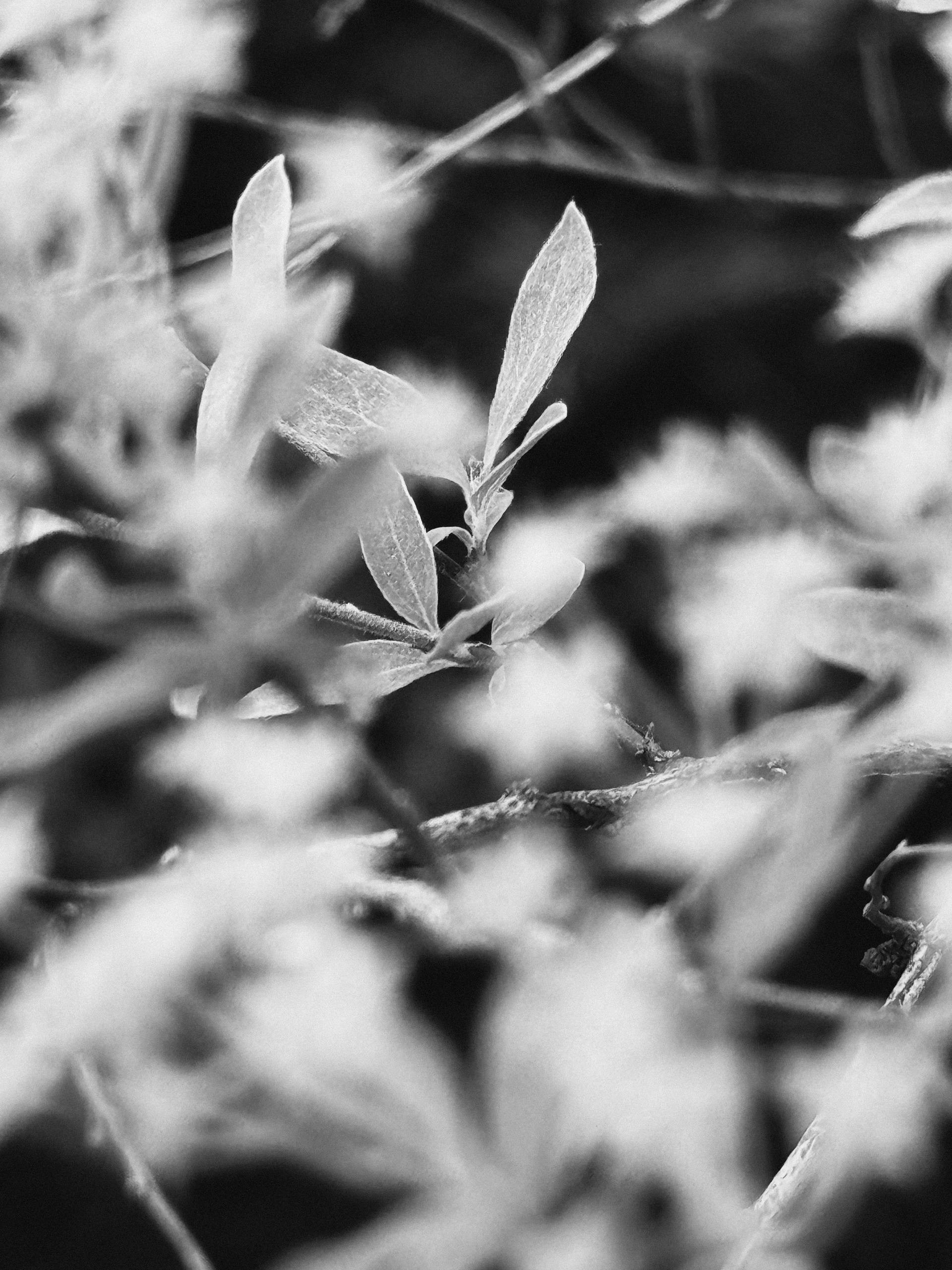 Снимаю по любви в Москве