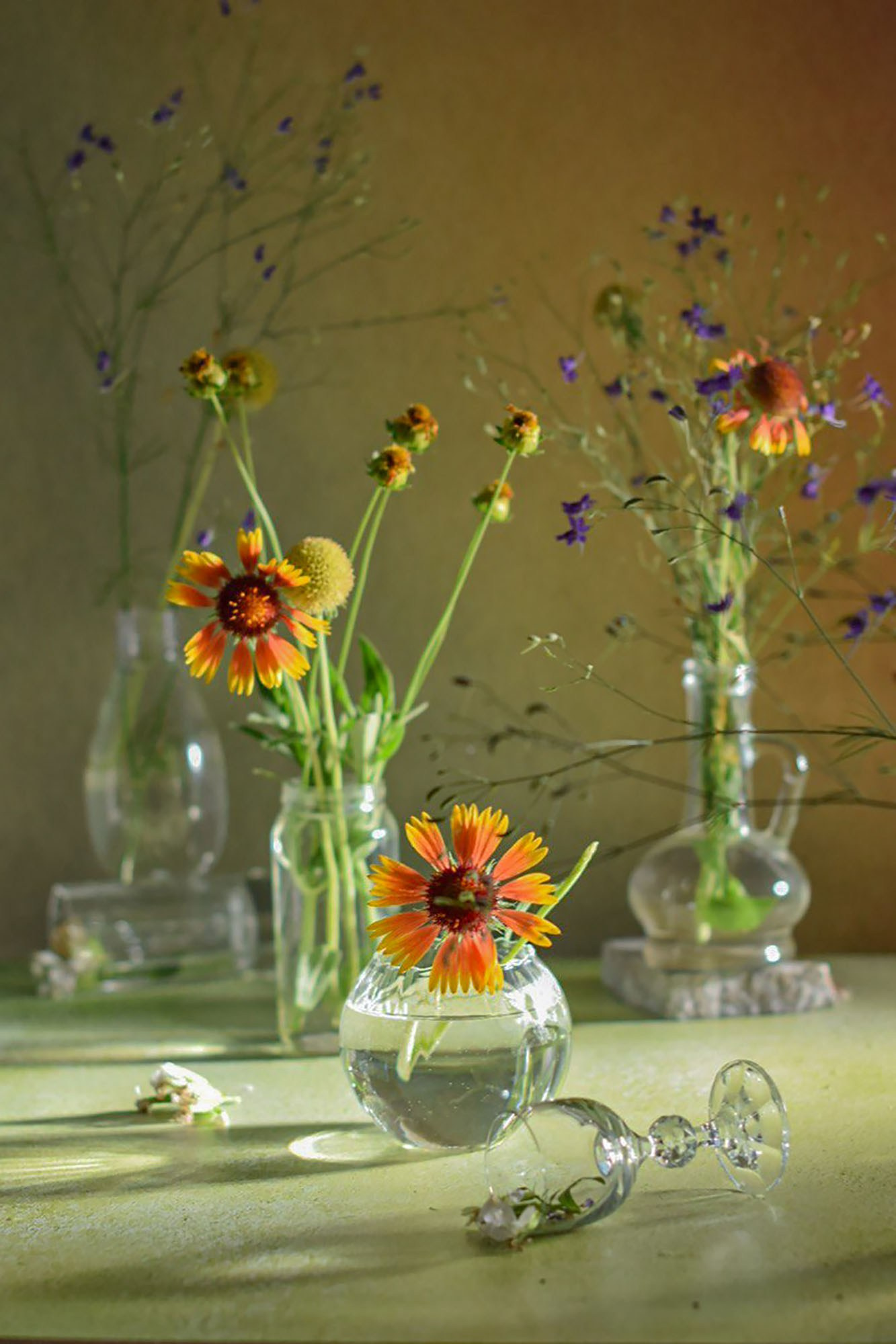 Светлана Афромеева. Предметный фотограф. Волгоград