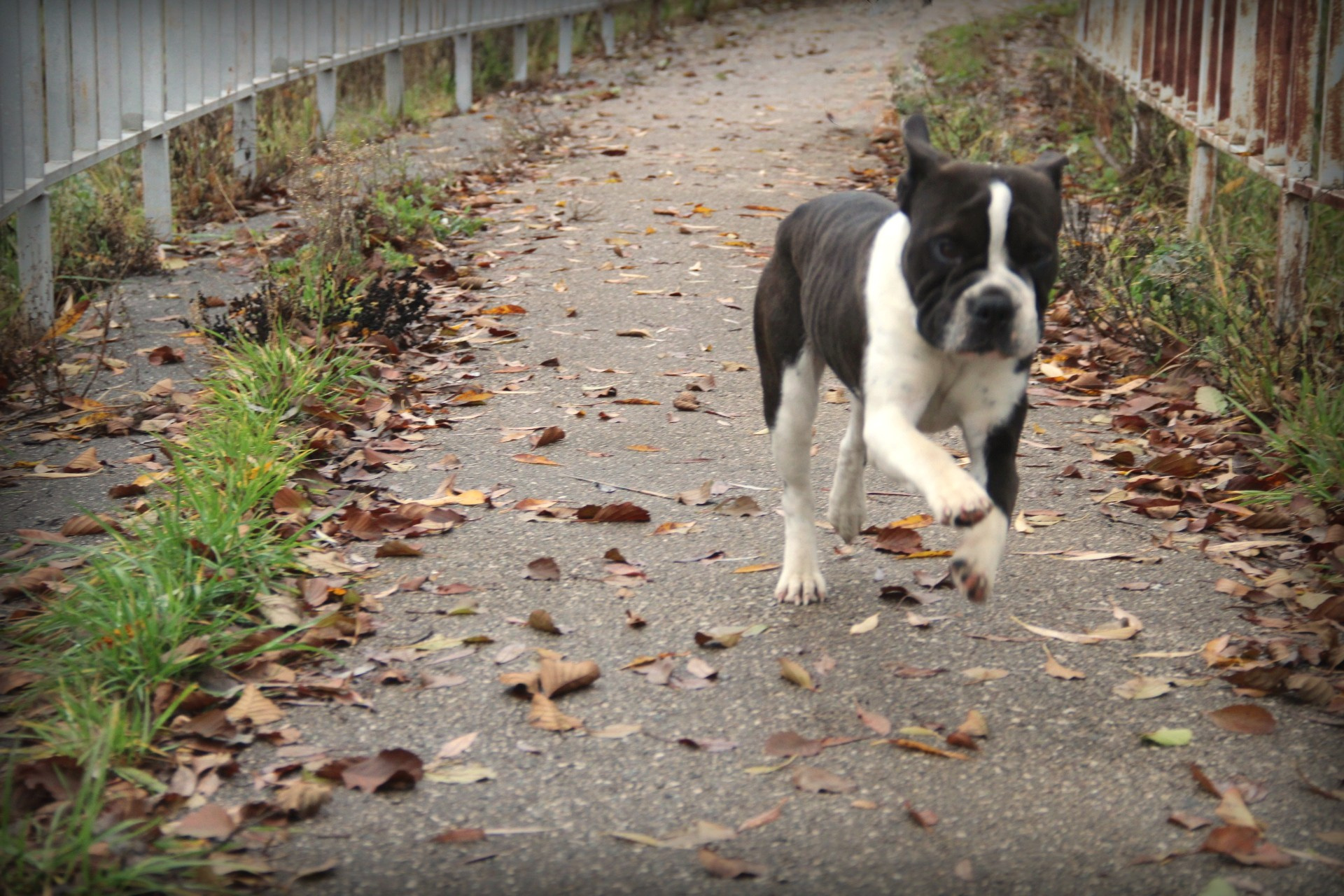 Катя Попова|ЛайфСтайл фотограф