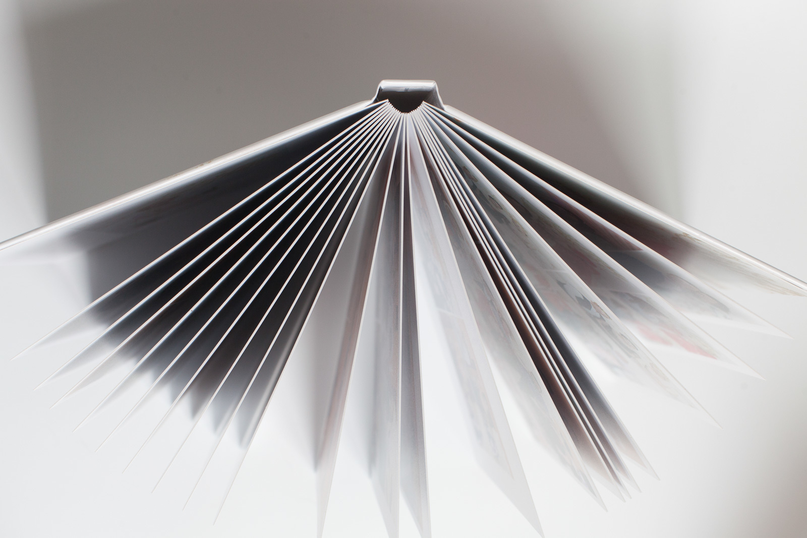 Фотограф, видеограф на юбилей