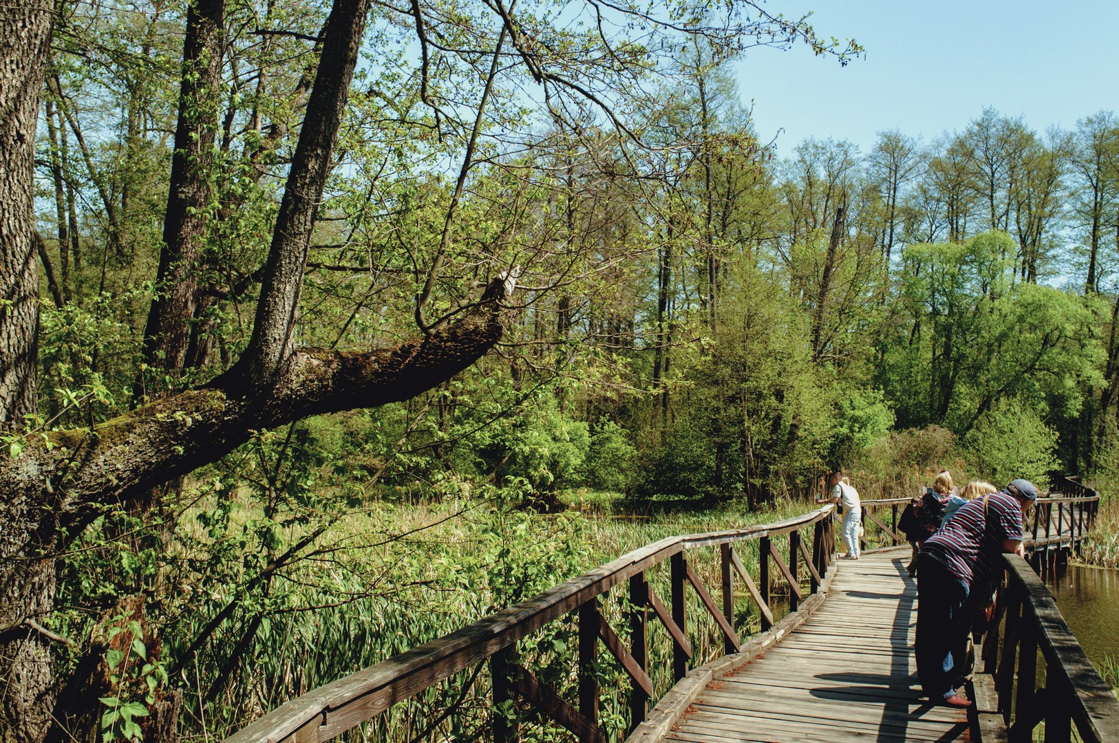 Руслан Шувалов (поэтограф)