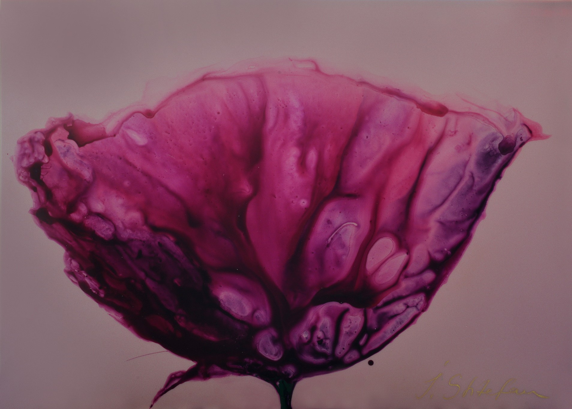 Картина художника Flors, Барселона, Европа, 2023–2025, размер 105×75 см, акрил пластик Painting by artist Flors, Barcelona, Europe, 2023–2025, size 105×75 cm, acrylic plastic Pintura del artista Flors, Barcelona, Europa, 2023–2025, tamaño 105×75 cm, acrílico plástico картина в интерьер, дизайн картина цветы орхидея интерьерная картина, pintura en el interior, pintura de diseño flores orquídeas pintura interior, painting in the interior, design painting flowers orchid interior painting