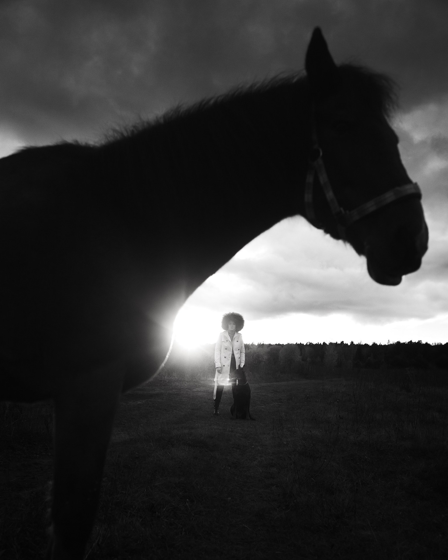 Съемка с лошадью в чб Казань, съемка с лошадью на закате в чб