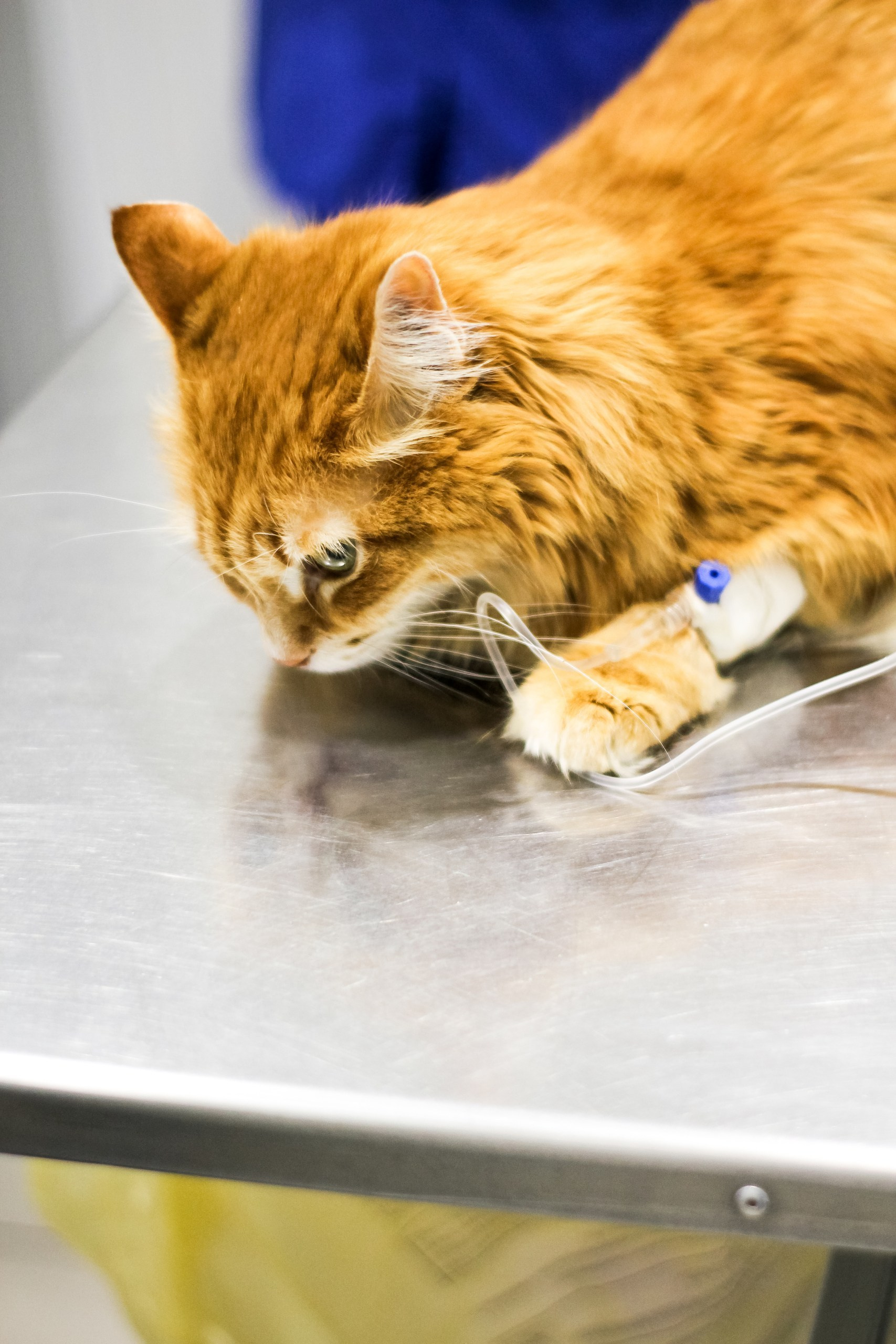 Контент съемка и предметная съемка для продвижения услуг бизнеса. Студия контента «СВОЕ МЕСТО»