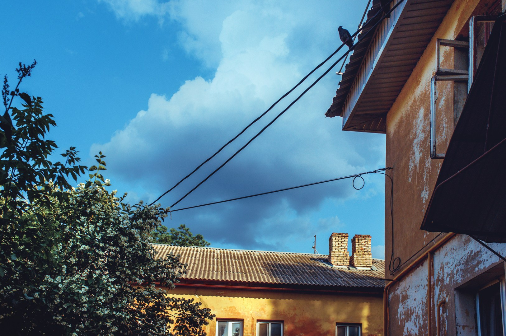 Руслан Шувалов (поэтограф)