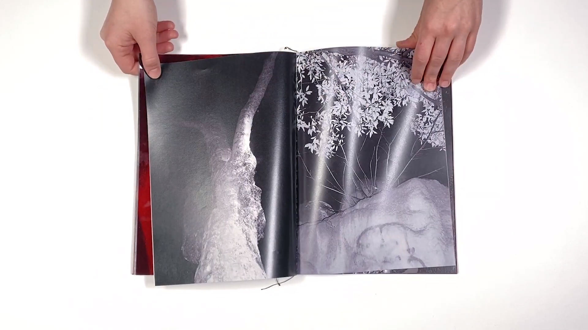 Фотокнига «Solstice» художницы Джулии Боле (Julia Bohle). Private image